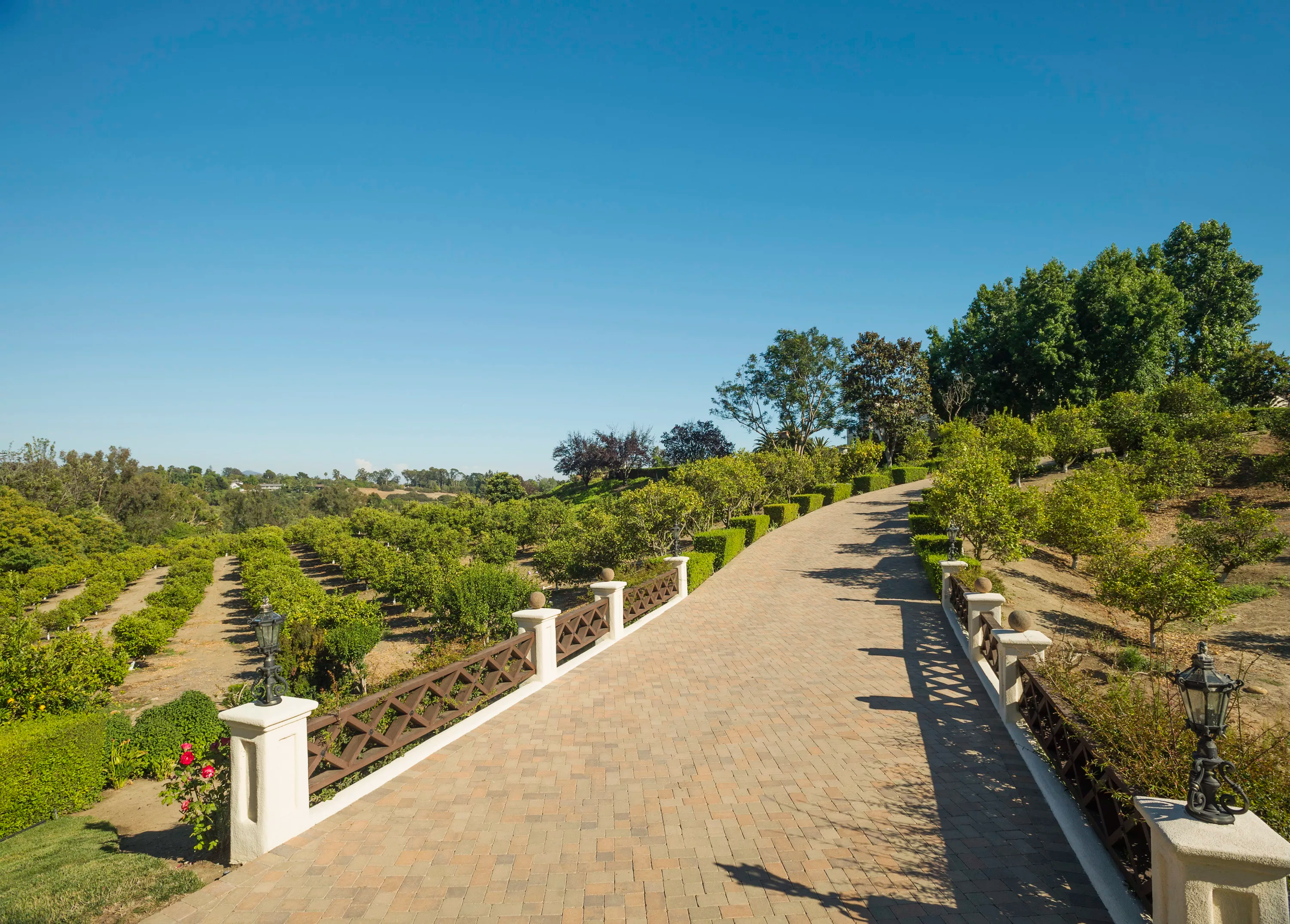 5425 Los Mirlitos Street, Rancho Santa Fe, California 92067 - el-milagro-5425-los-mirlitos-rancho-santa-fe-ca-luxury-real-estate-19_tew4td