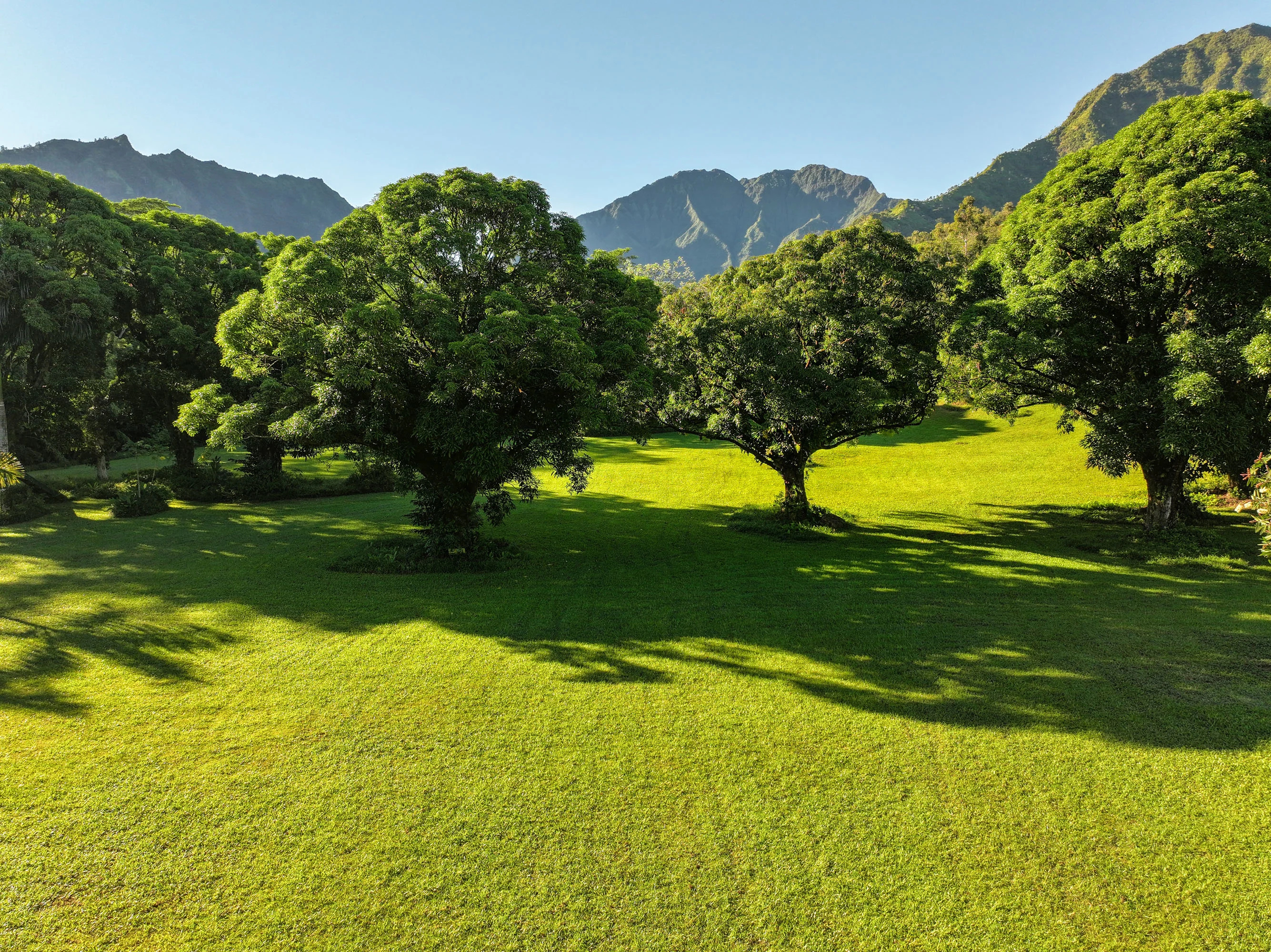 Kuhio Highway, Hanalei, Kauai, Hawaii  - Hanalei_Hideaway_02_jsdmma