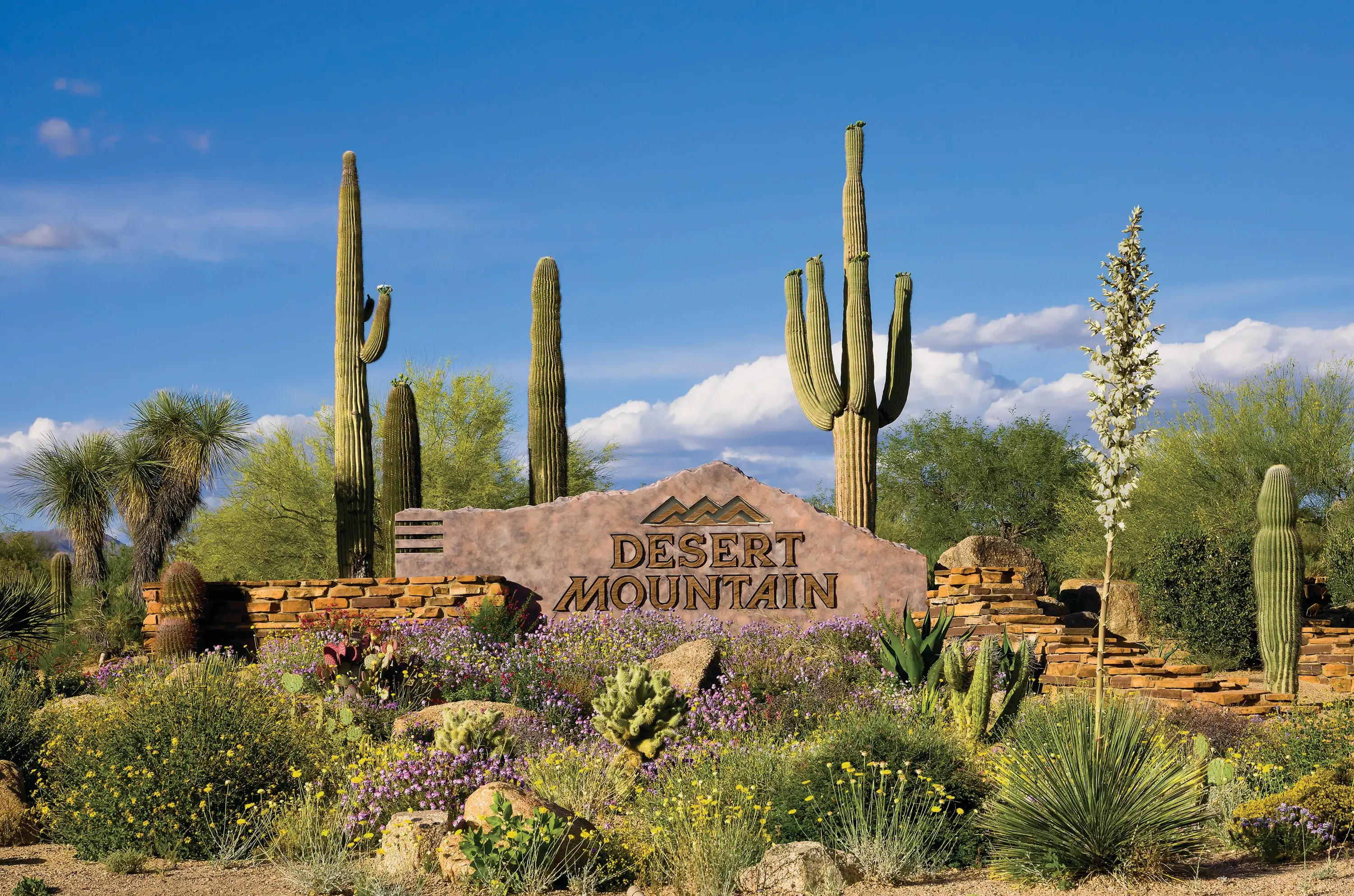 Positioned in the exclusive Village of Lone Mountain, this exceptional 4.88-acre property offers an unparalleled opportunity to build your dream home amidst the striking beauty of Scottsdale’s high Sonoran Desert. 