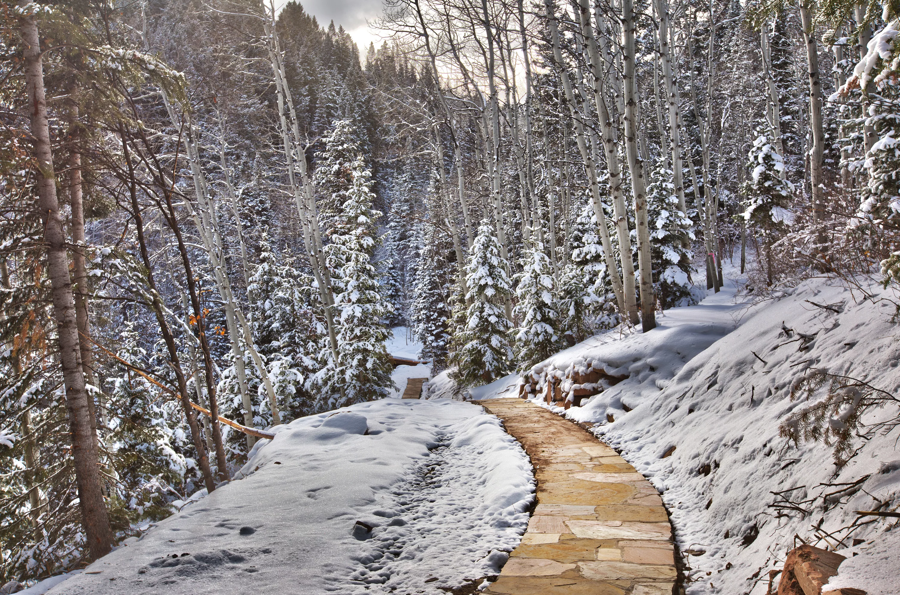 155 White Pine Canyon Road, Park City, Utah 84060 - 155-white-pine-canyon-road-park-city-ut-luxury-real-estate-18_kjndii