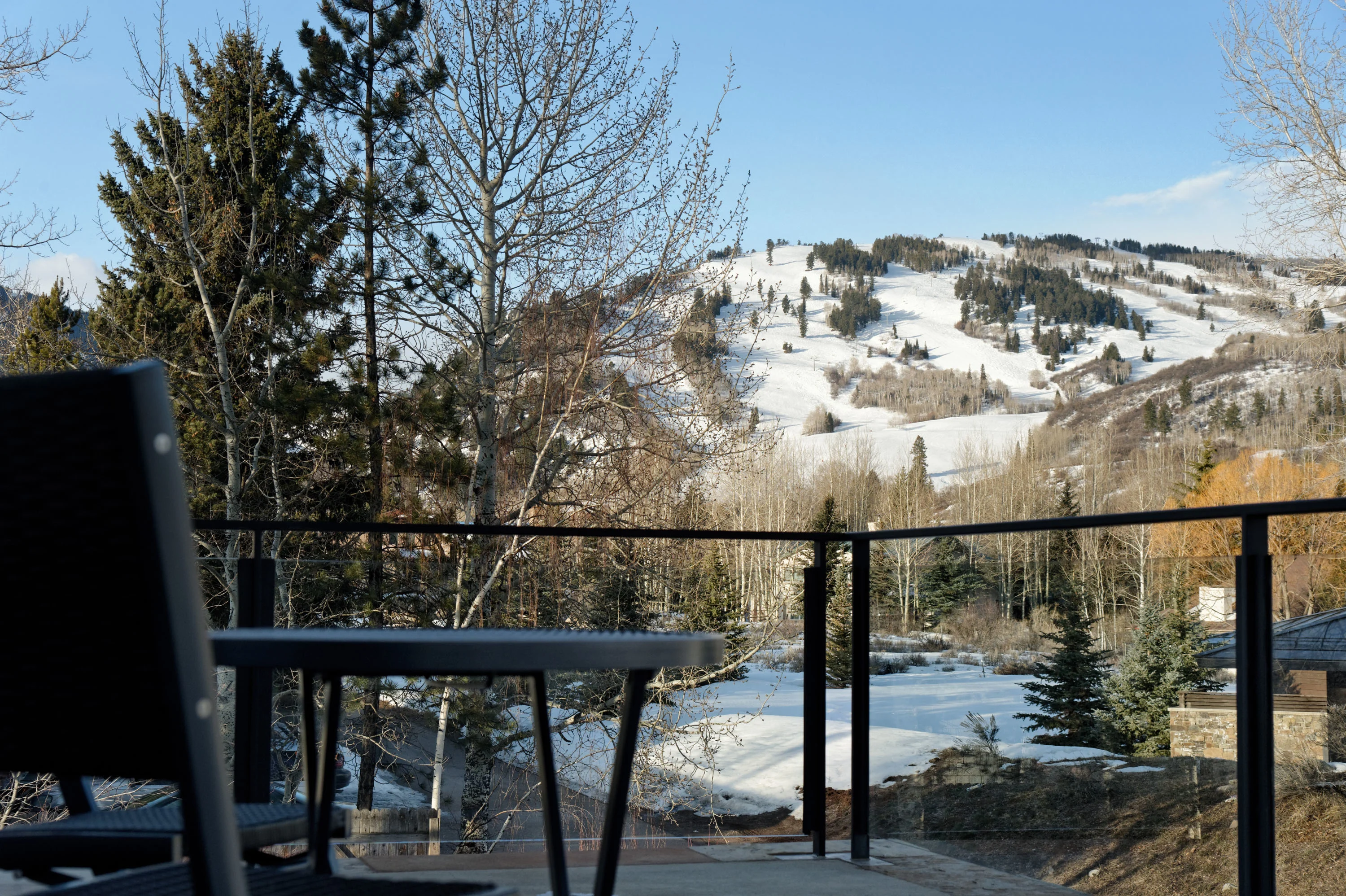 20 Maroon Court, Aspen, Colorado 81611 - 20-maroon-court-aspen-colorado20_zanepa