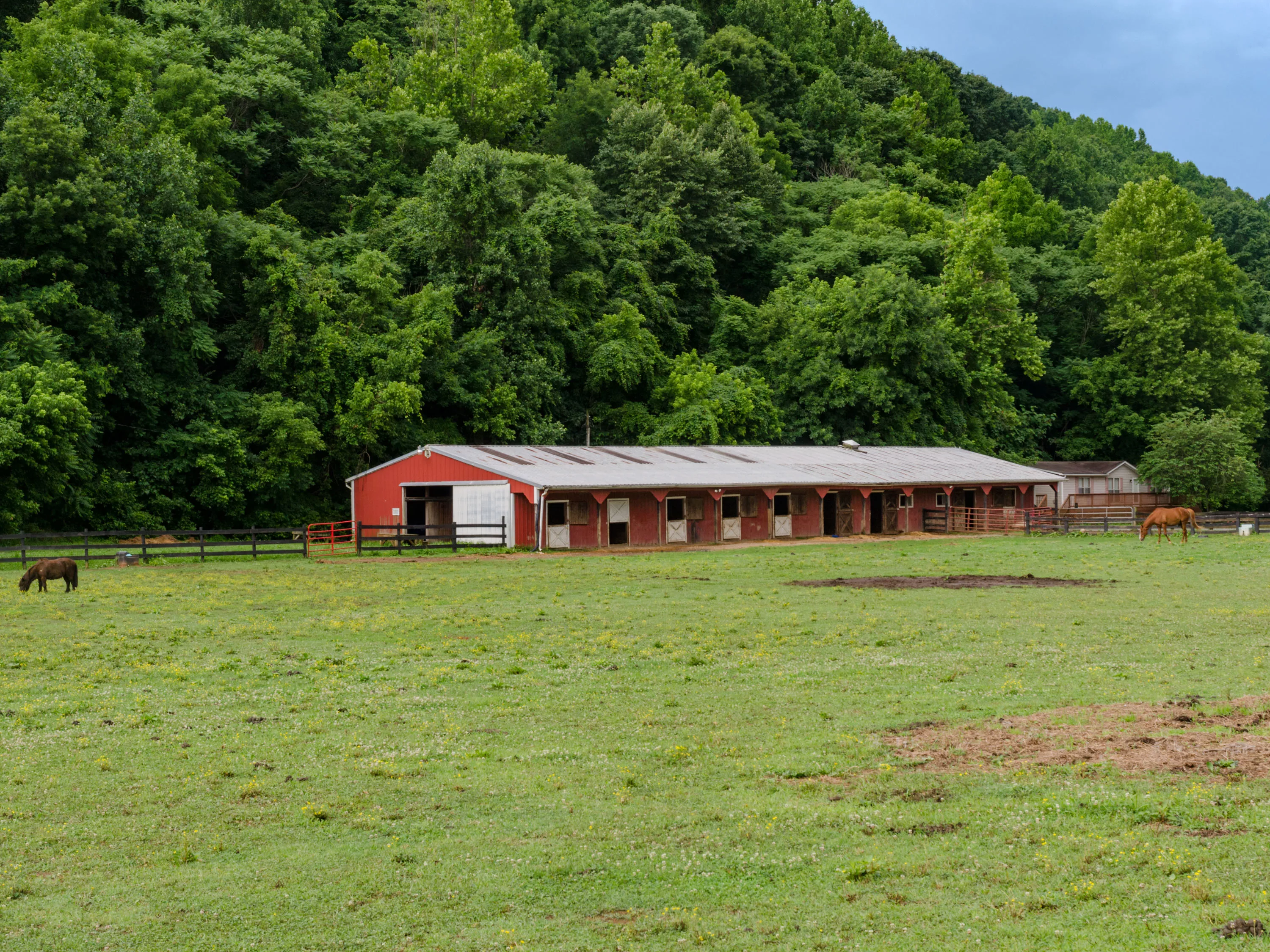 2515 Stone Ridge Road, Blue Ridge Mountains, Virginia 24538 - 2515-stone-ridge-rd-concord-va-27-08-03-49-4949_jrlhjw
