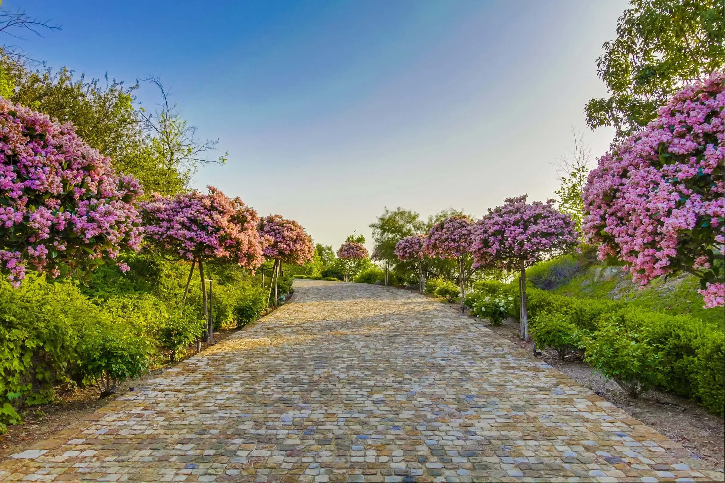 18441 Via Ambiente, Rancho Santa Fe, California 92067 - 18441-via-ambiente-rancho-santa-fe01_rcav7y