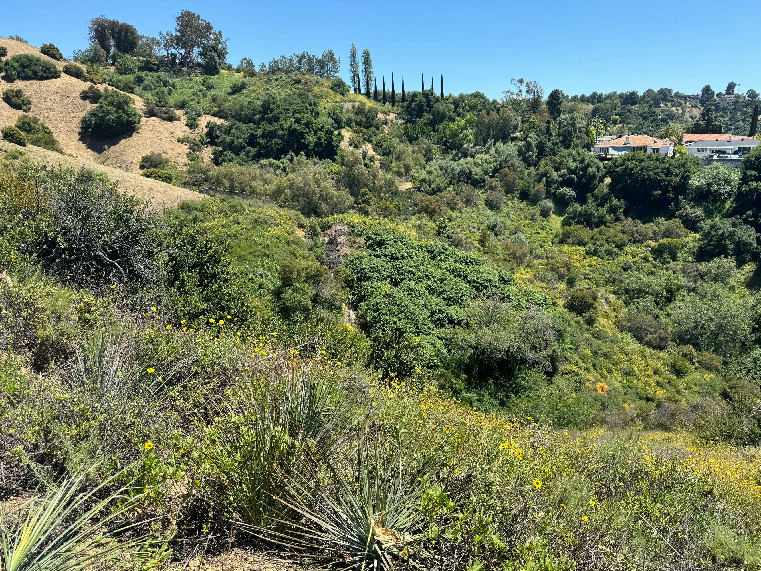 2980 Hutton Drive, Beverly Hills, California 90210 - 2980_Hutton_Dr_10_rgwmkz