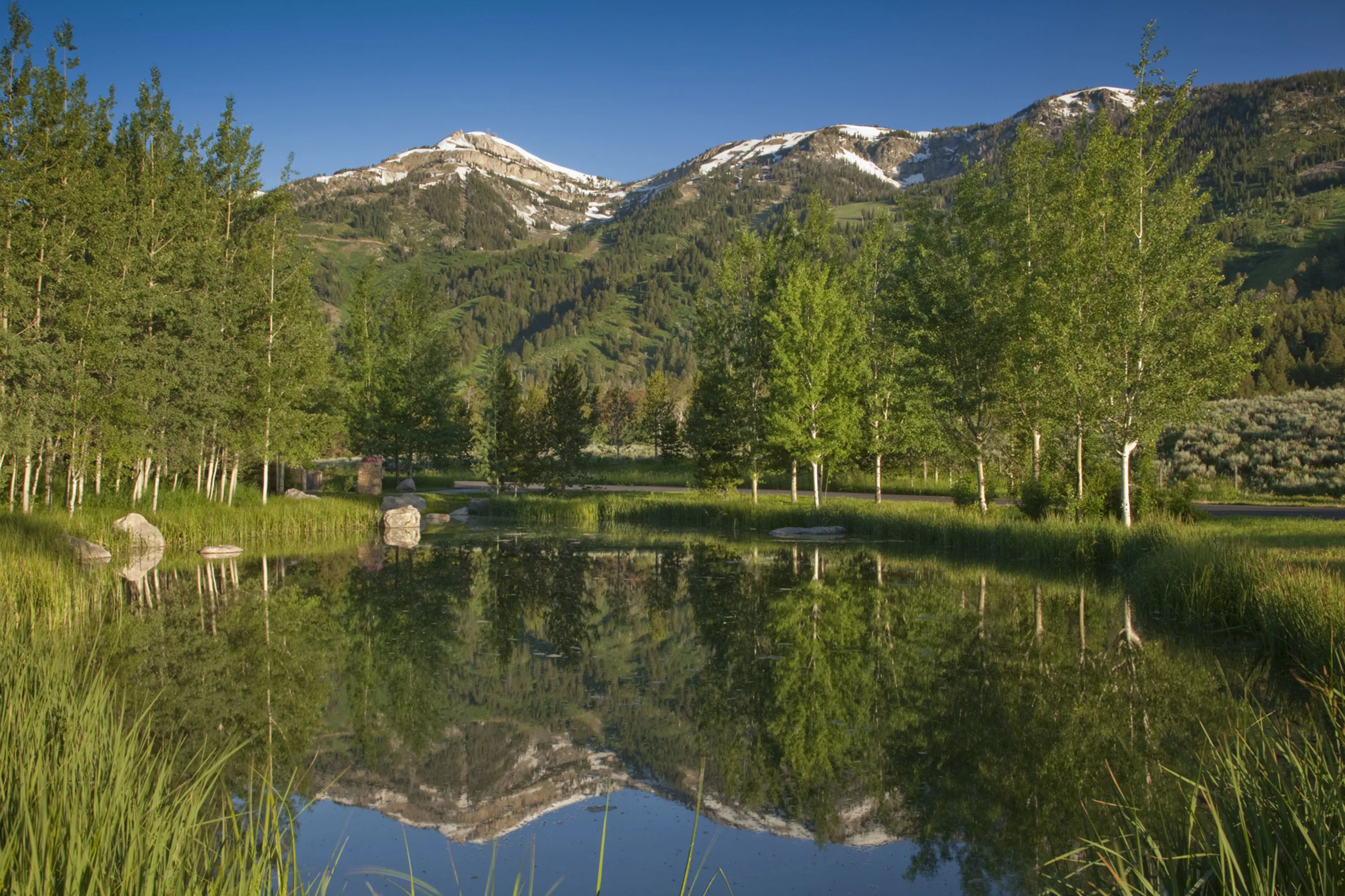 7555 Moose-Wilson Road, Jackson Hole, Wyoming 83025 - gg070911366_wv9o20