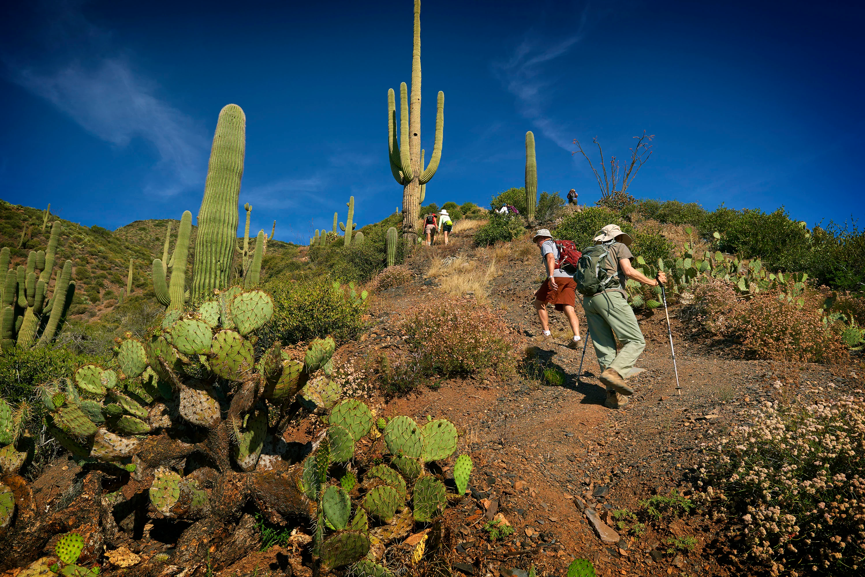 9315 East Aw Tillinghast Road, Scottsdale, Arizona 85262 - 9315_E_Aw_Tillinghast_Rd_31_27_zcbssf