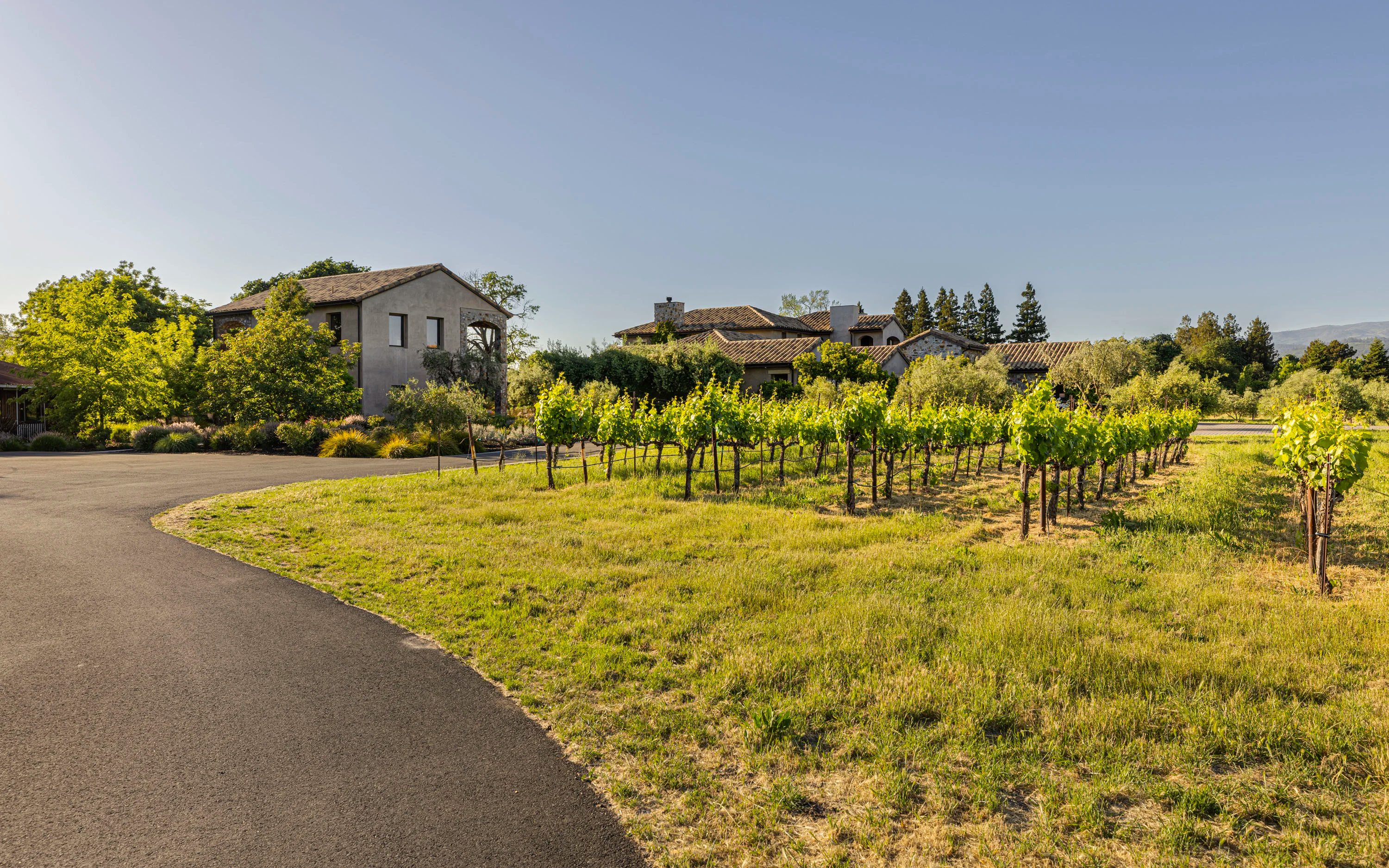 21001 Broadway, Sonoma, California 95476 - 21001_Broadway_67_b5wnv2