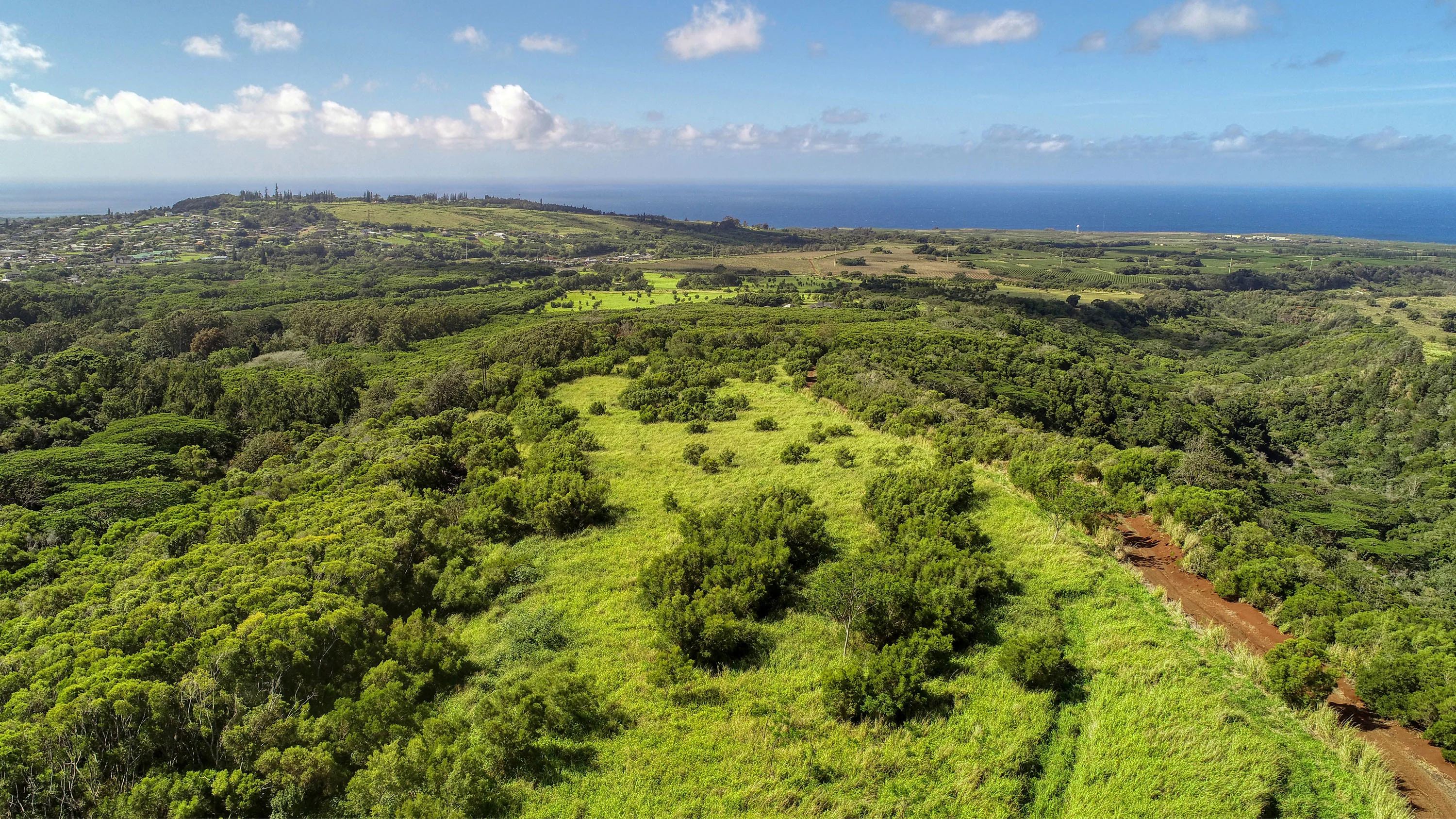2-2131-Z Kaumualii Highway, Kalaheo, Kauai, Hawaii 96741 - 2-2131-z-kaumualii-highway-kalaheo-hawaii12_vye3rj
