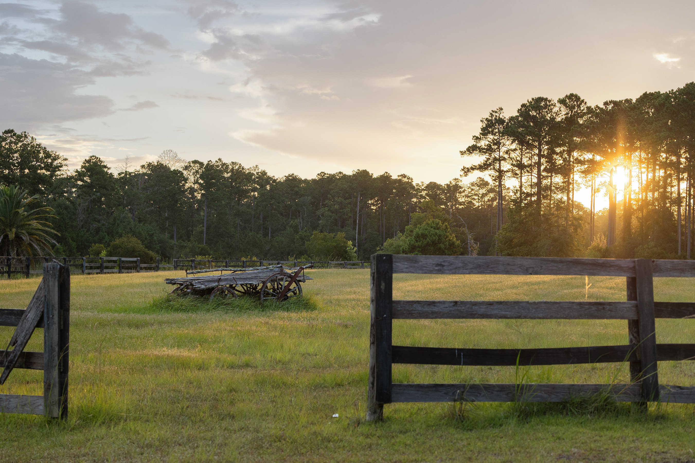 58 Hampton Island - 1300 Retreat Road, Riceboro, GA 31323 - Luxury Real Estate - Concierge Auctions