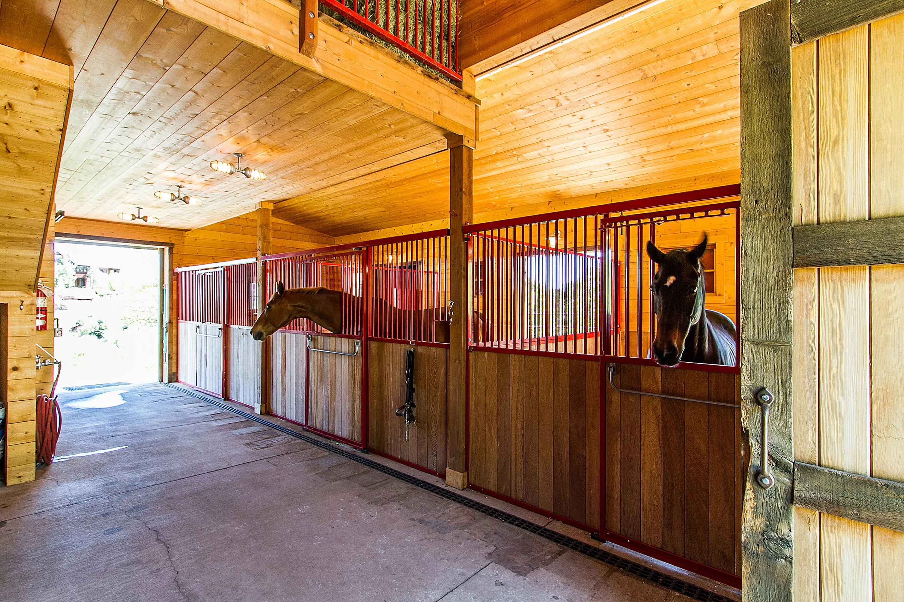 12612 White Deer Drive, Denver, Colorado 80127 - 12612-white-deer-dr-littleton-co-26-23-07-55-5555_pgfde7