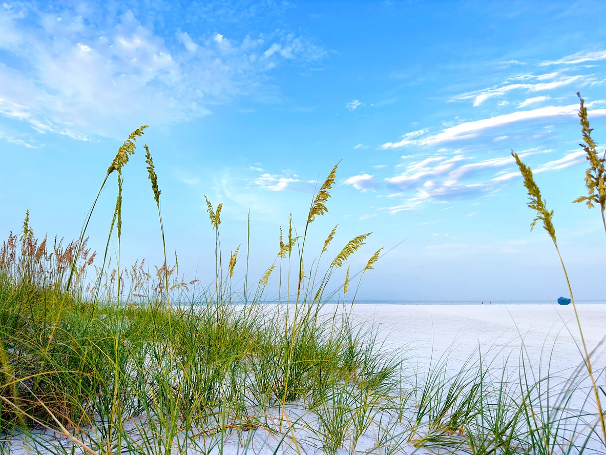 iStock-2181068207