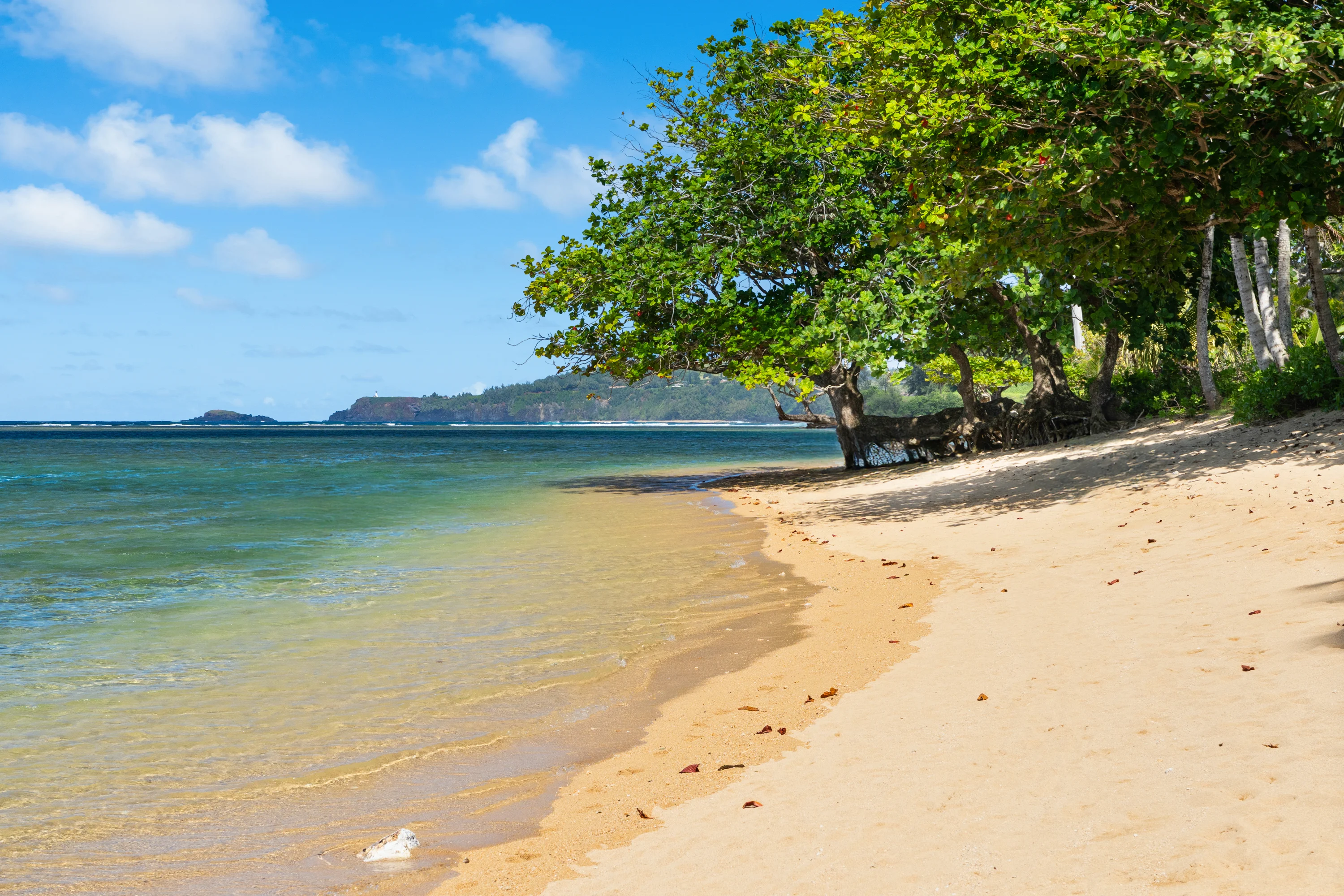 3704 Anini Road, North Shore, Kauai, Hawaii 96754 - 3704_Anini_Rd_32_csiw3r