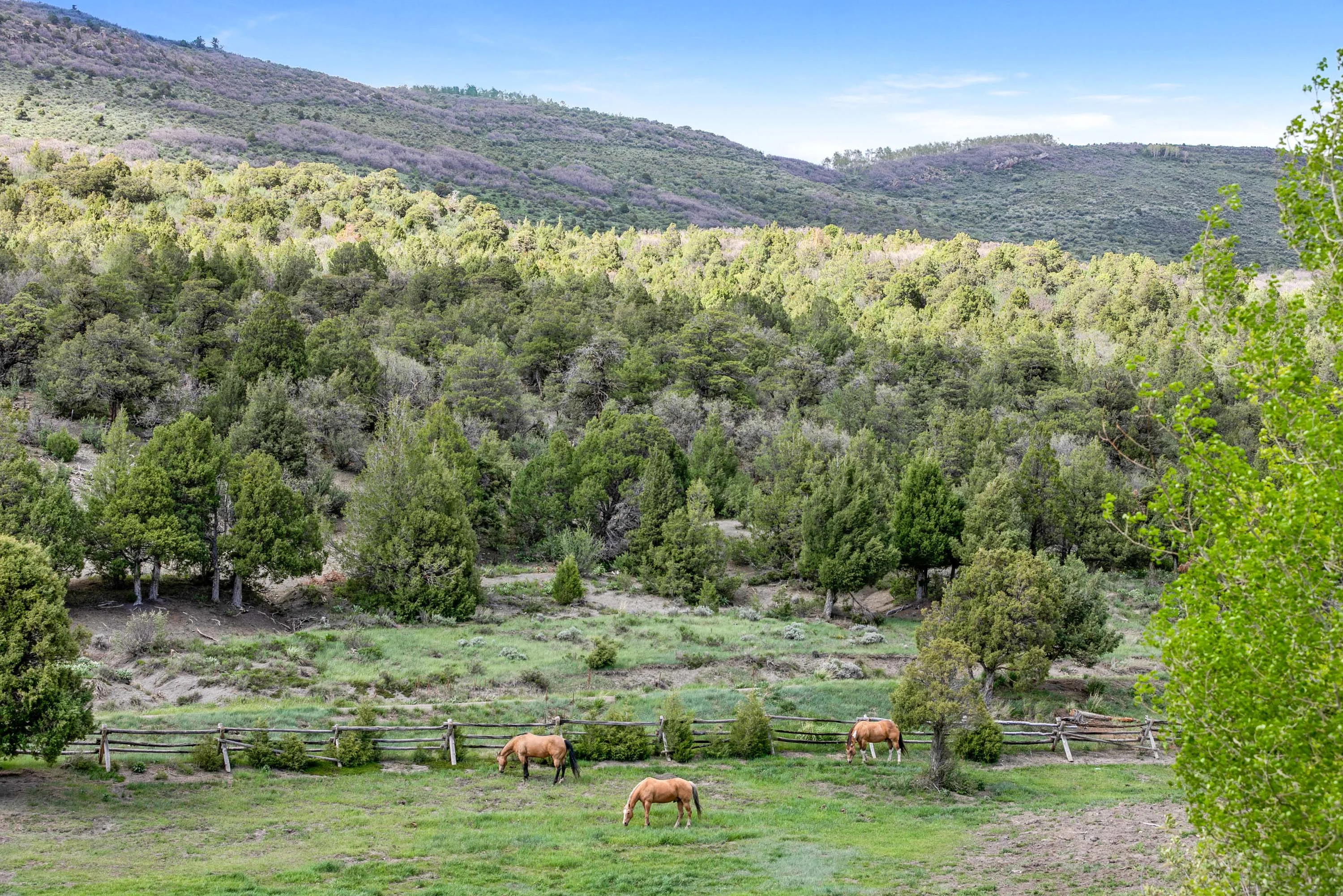 Salt Creek Ranch | 3758 Salt Creek Road, Eagle, Vail Area, Colorado ...