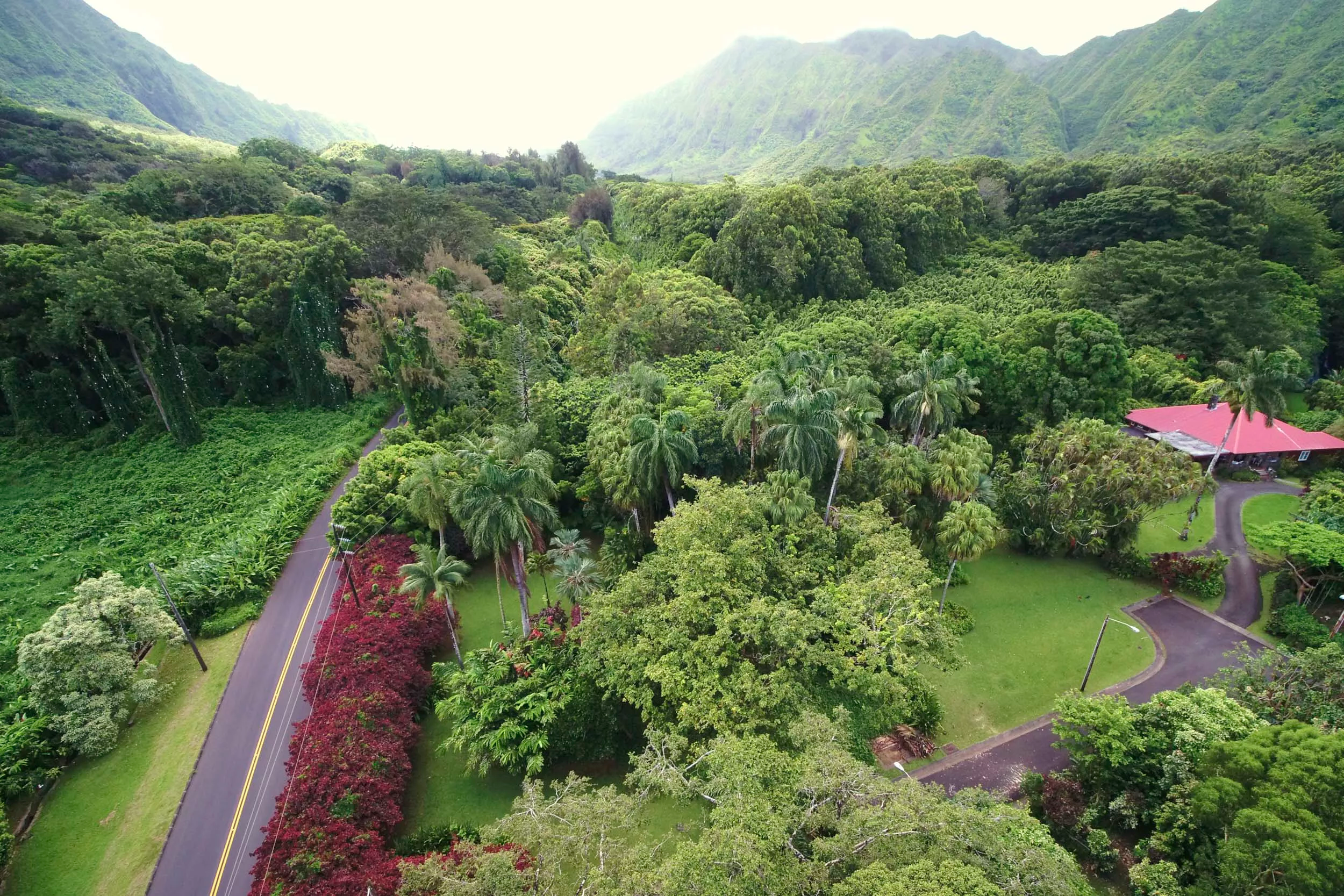 4155 Nu'uanu Pali Drive, Honolulu, Hawaii 96817 - nuuanu-pali-drive-honolulu-hawaii02_uwkxx2