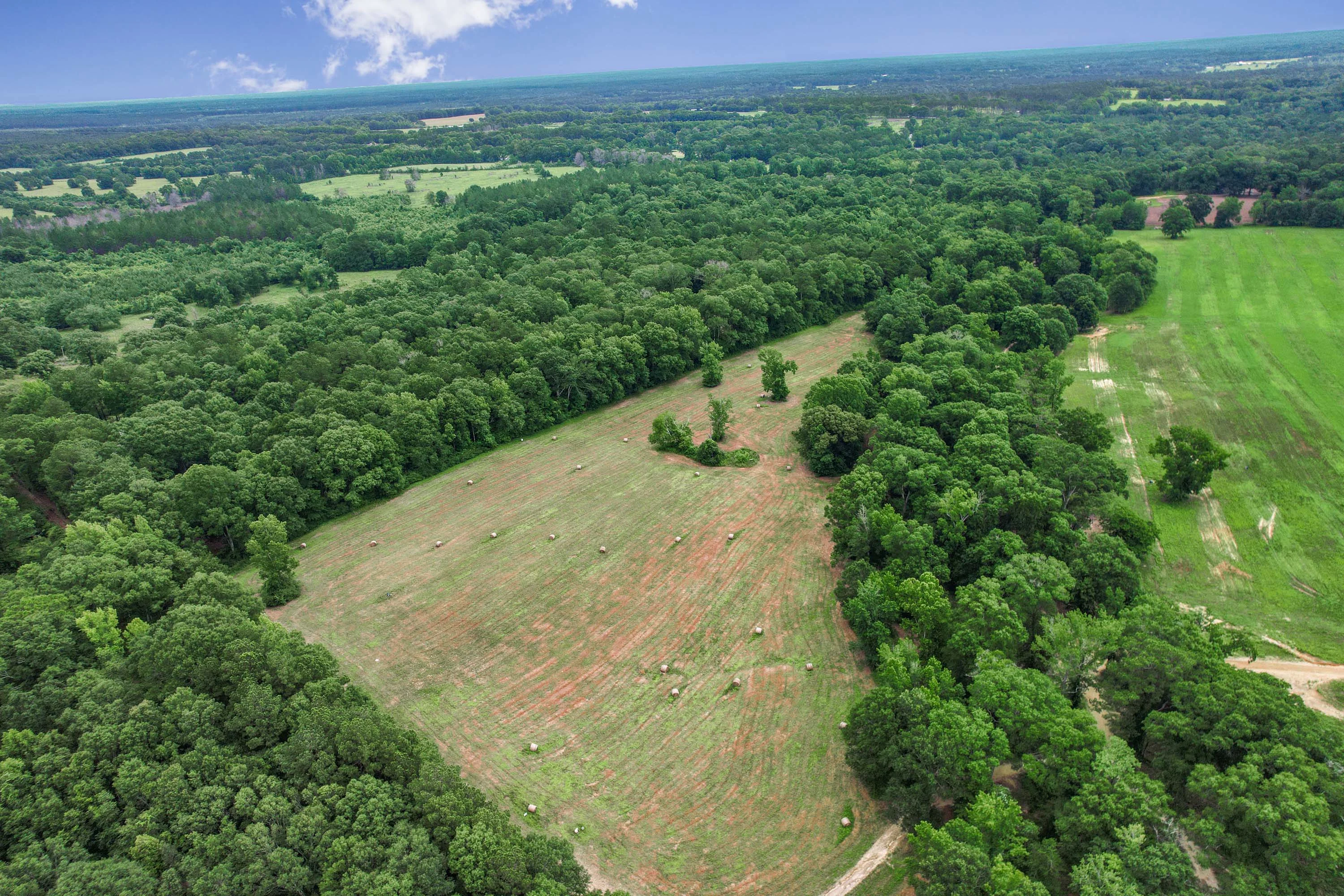 Running Creek Ranch | 773 Old Camp Road, Poplarville, Pearl River County, Mississippi 39470 - 58_-_57_-_DJI_0180_cvnphh