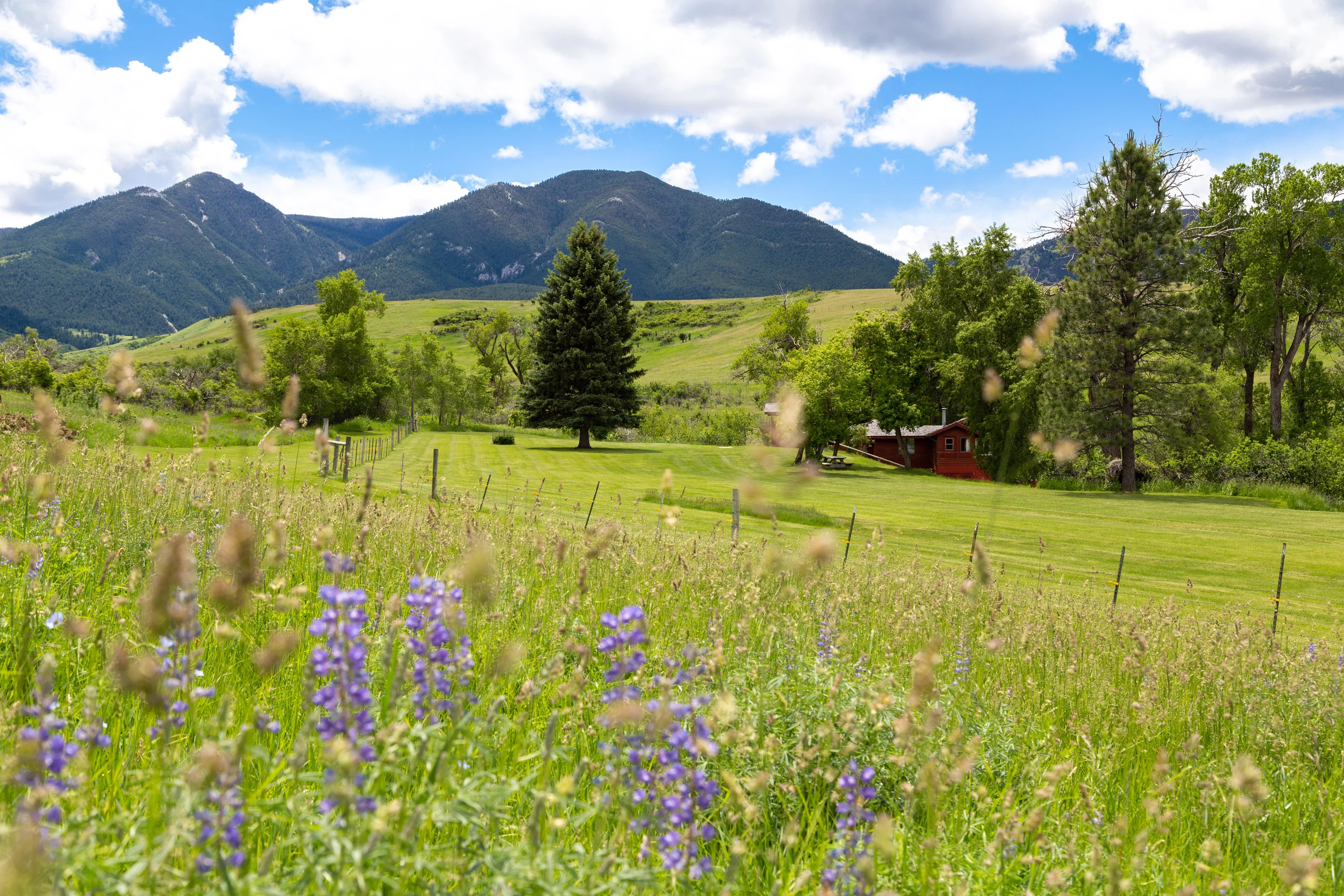 43 Rapid Creek Road, Sheridan, Wyoming 82801 - holy-cow-ranch-43-rapid-creek-road-sheridan-wyoming72_nku5ms