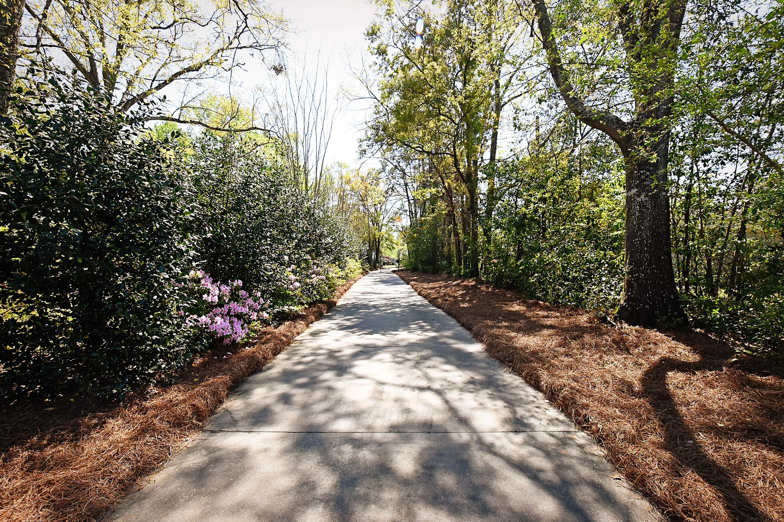 403 North Cherokee Avenue, Dothan, Alabama 36303 - 403-north-cherokee-avenue-dothan-alabama02_ytzzjn