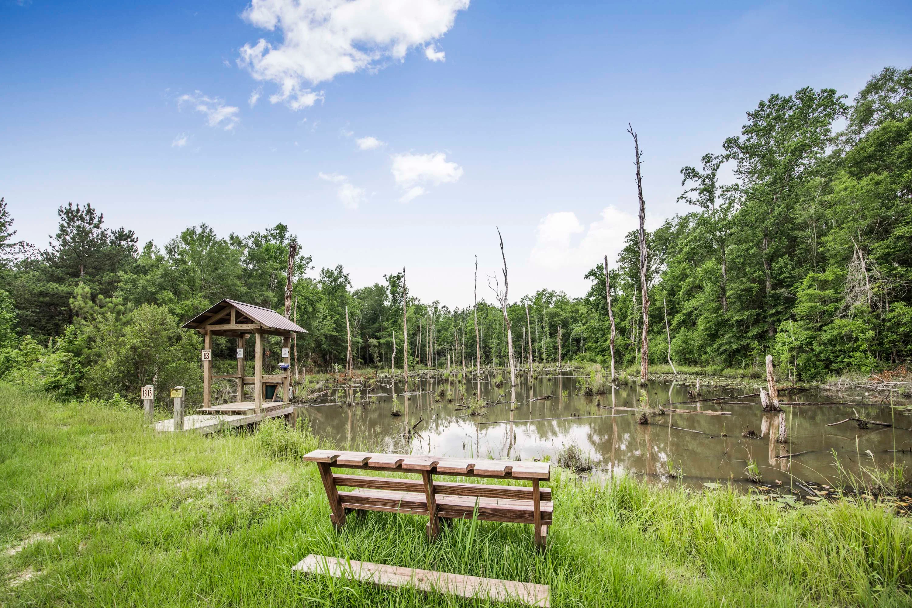 Running Creek Ranch | 773 Old Camp Road, Poplarville, Pearl River County, Mississippi 39470 - 48_-_570A7711_cp8dxm