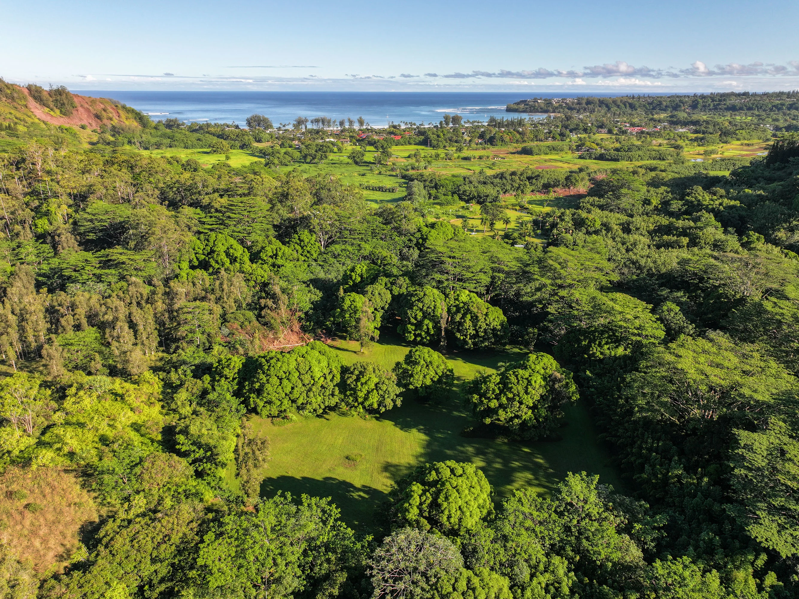Kuhio Highway, Hanalei, Kauai, Hawaii  - Hanalei_Hideaway_19_esyc1k