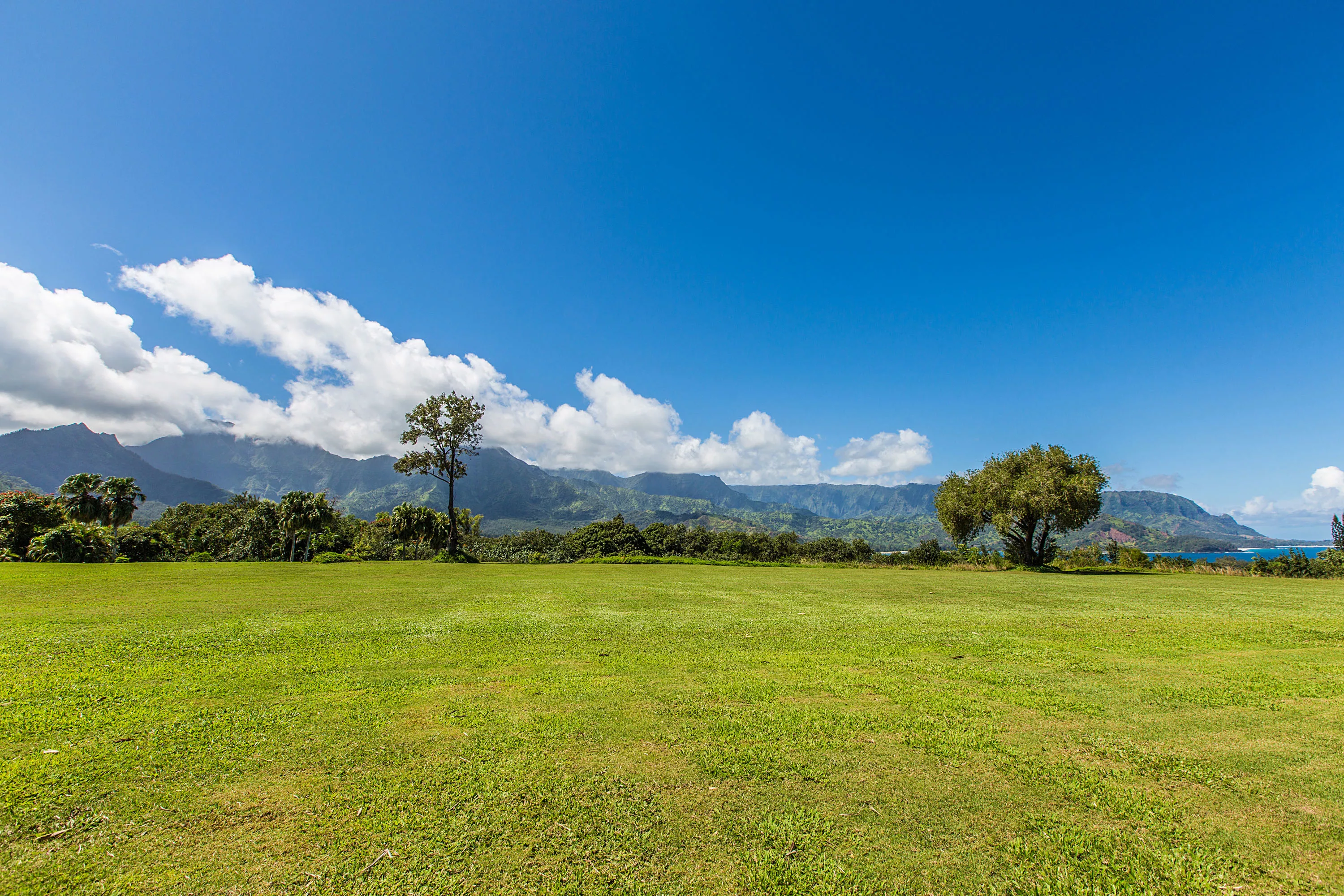 4615A Hanalei Plantation Road, North Shore Kauai, Hawaii 96722 - 4615a-hanalei-plantation-road-princeville-hi10-19-18-26-2626_yehgwp