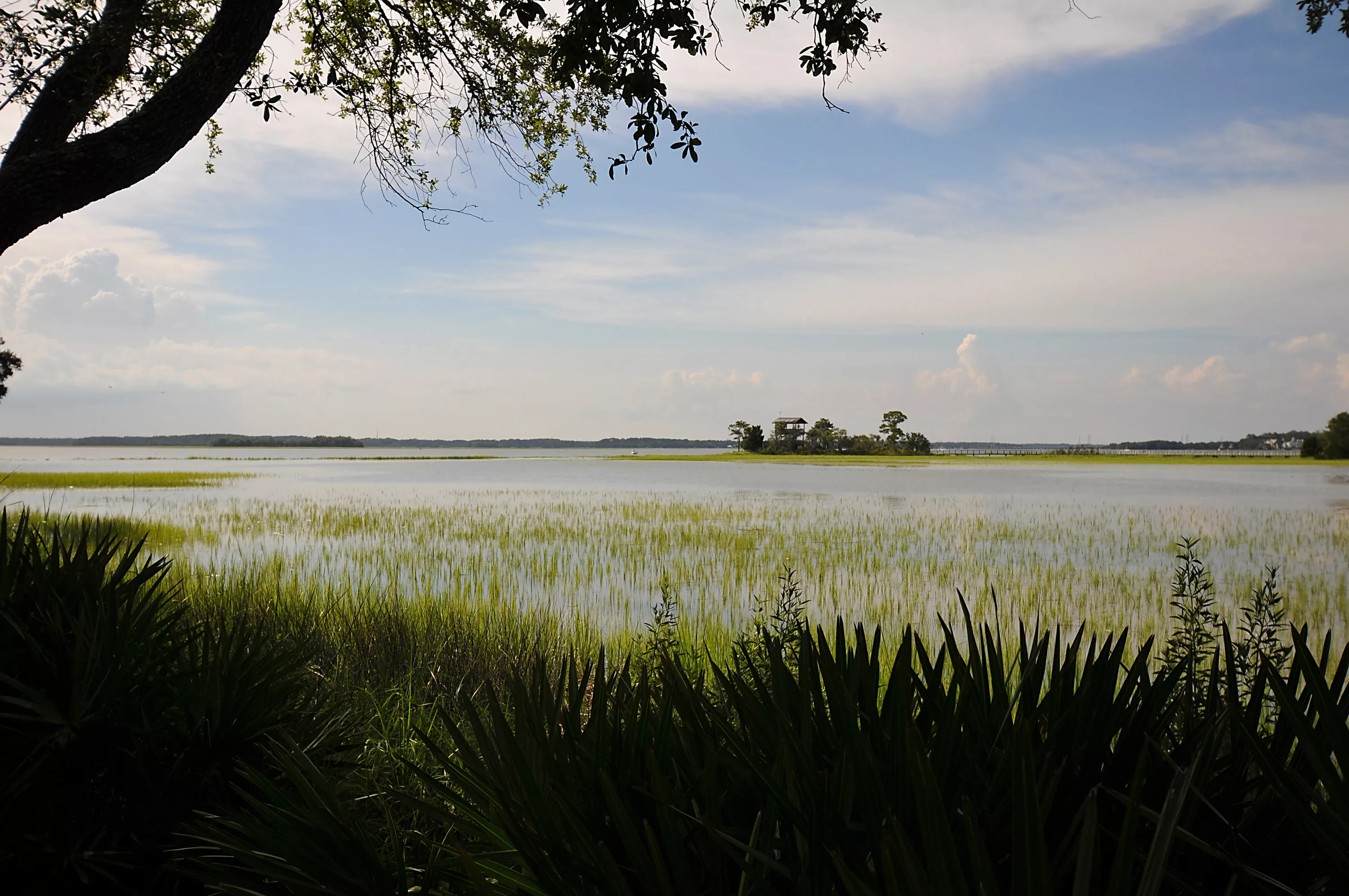 38 Spanish Pointe Drive, Hilton Head, South Carolina 29926 - 38-spanish-pointe-drive-hilton-head-sc-luxury-real-estate-14_rpmvvn