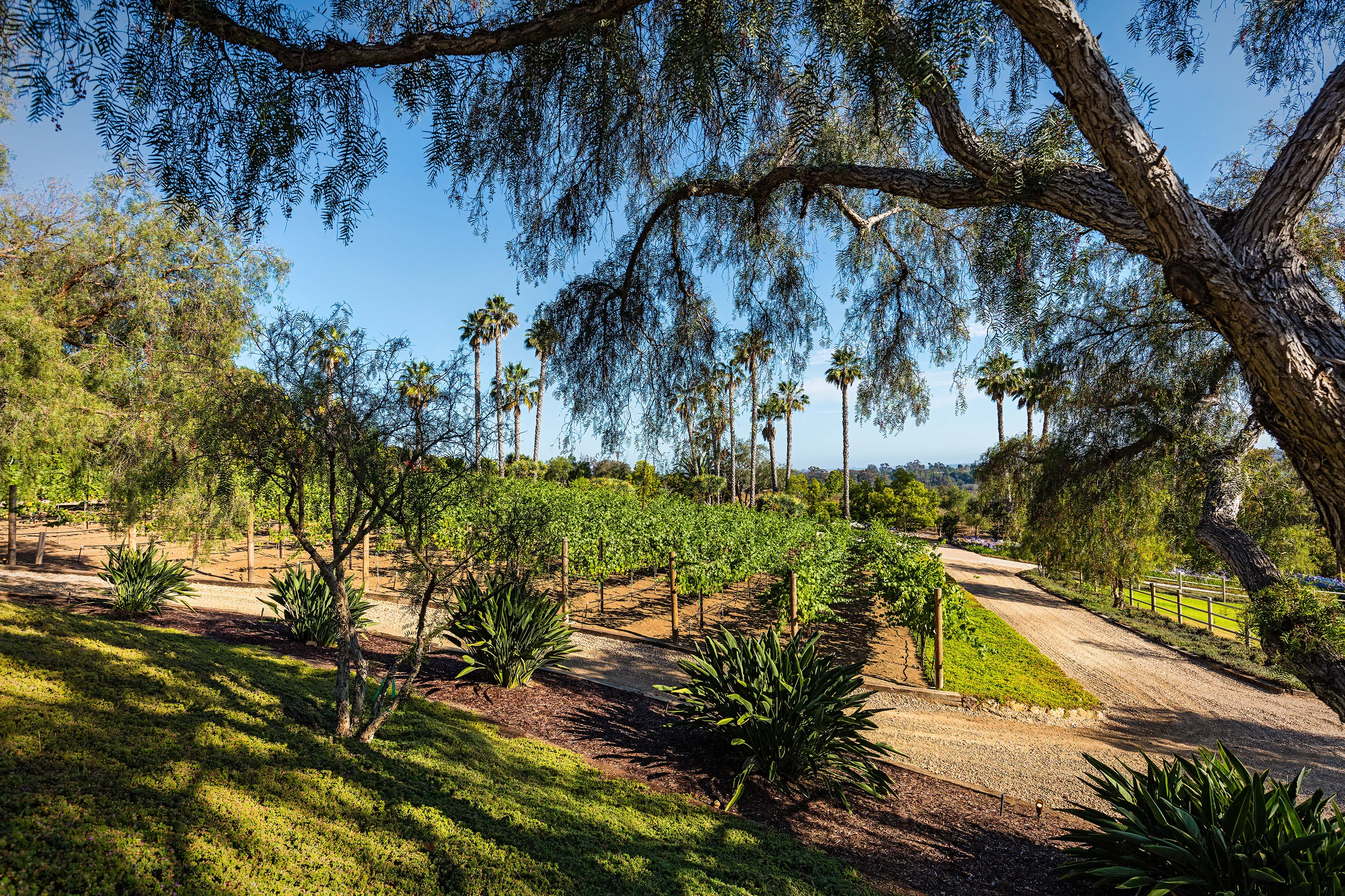 18127 Via Roswitha, Rancho Santa Fe, California 92067 - 20160628-ah-18127-vr-0101-08-03-46-4646_pxexd2