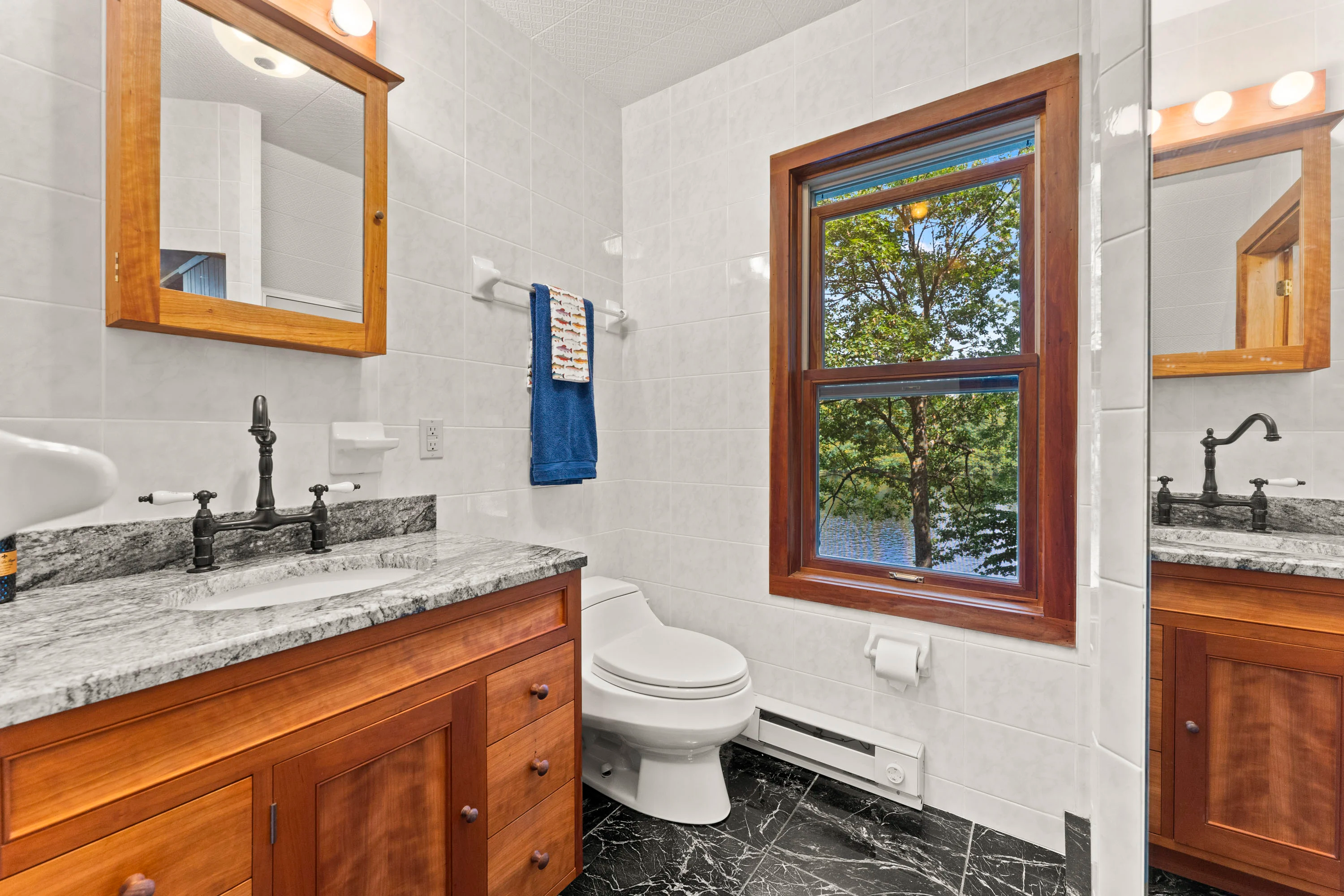 900 West River Road, Gansevoort, Saratoga Area, New York 12831 - Thompson_Island_20_aotz2d