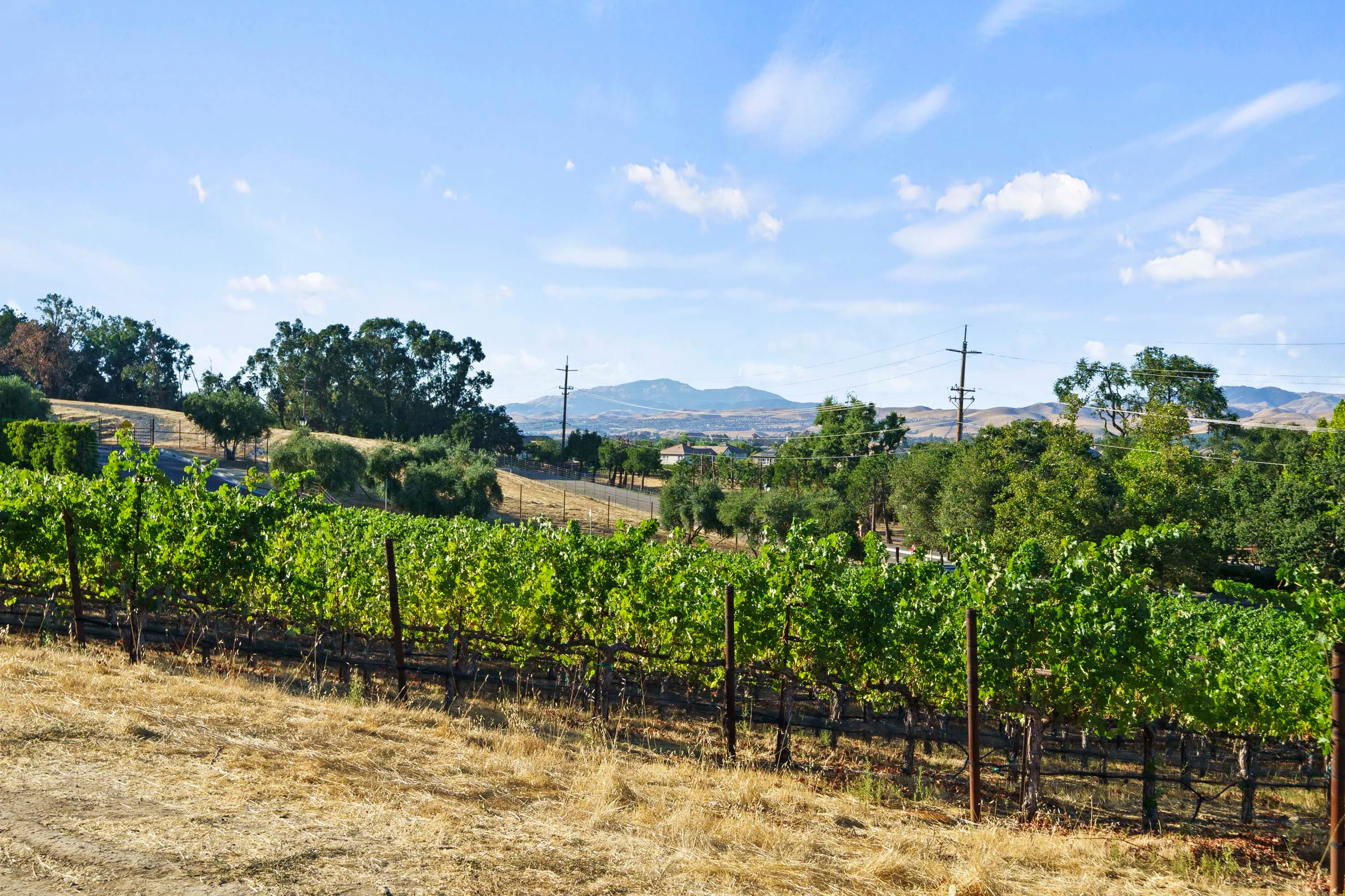 1333 Montrose Place, Pleasanton, San Jose Area, California 94566 - 55_-_photo_175_gz2jot