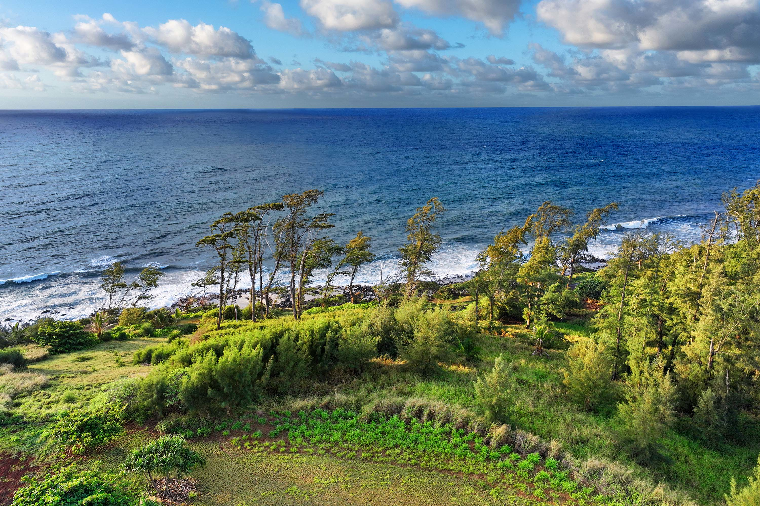 08 0 Kapoli St, Kealia, HI 96746 Concierge Auction Luxury Real Estate