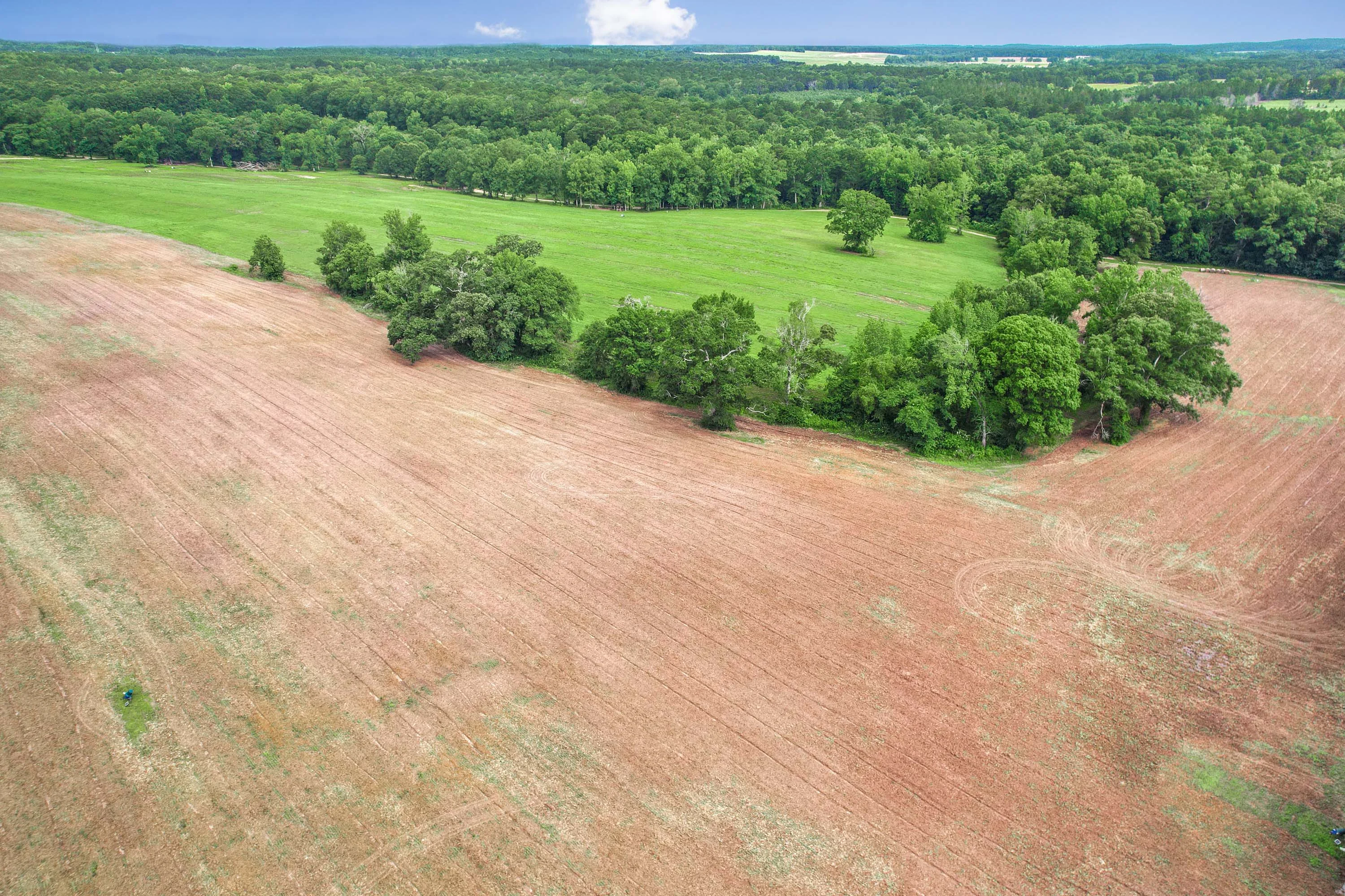 Running Creek Ranch | 773 Old Camp Road, Poplarville, Pearl River County, Mississippi 39470 - 56_-_54_-_DJI_0127_wvkd2s