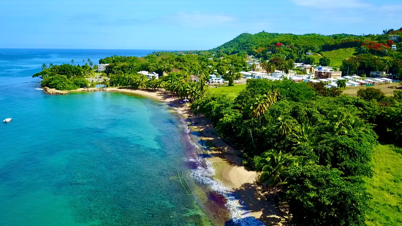 Road 413 km 0.6, Puerto Del Pulpo Estate, Rincon, Rincon 00677, Puerto Rico - iStock-1691187231_h5guup