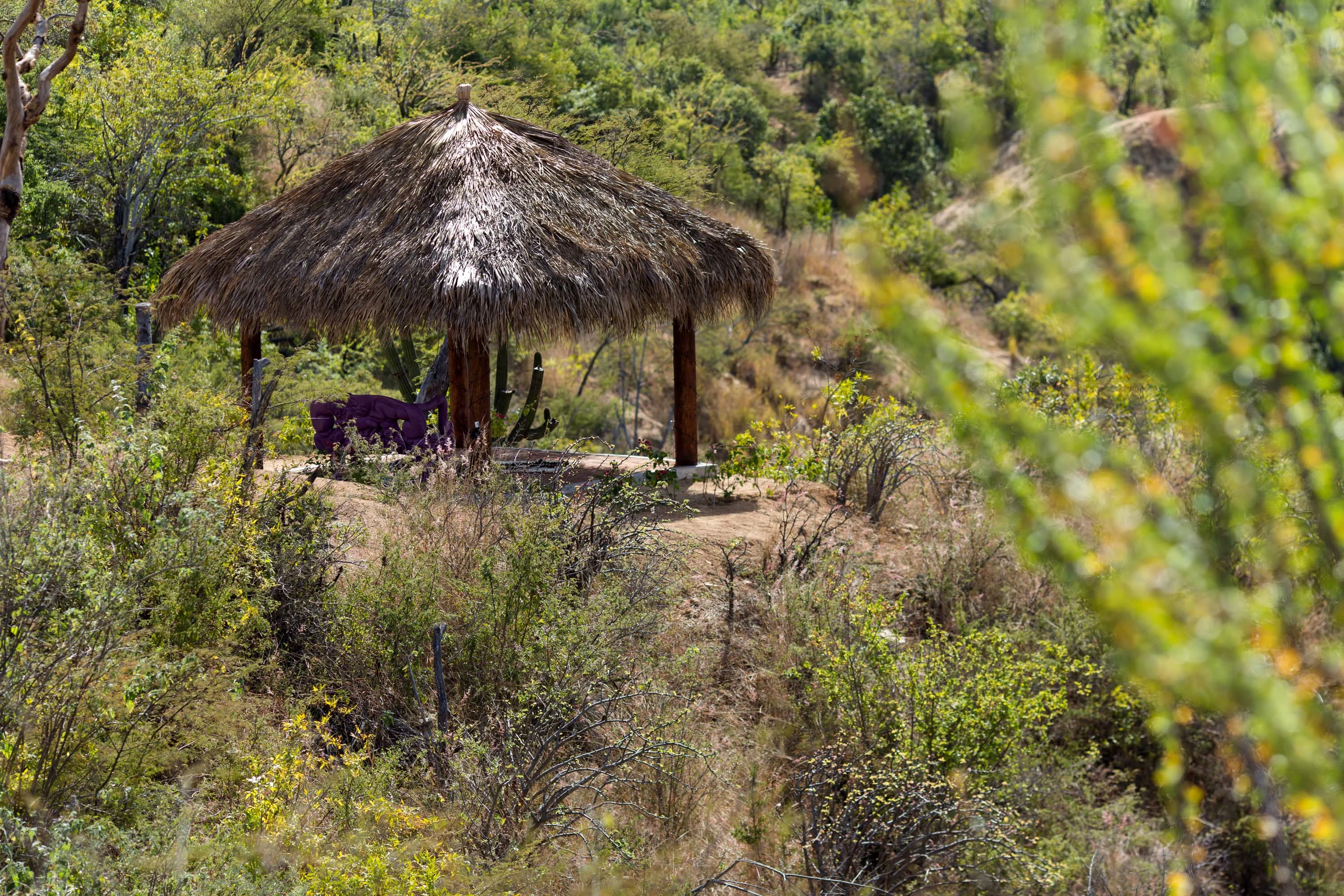 Rancho Espiritu, Los Cabos, Baja California Sur , Mexico - rancho-espiritu-los-cabos-mexico44_a1nwq0
