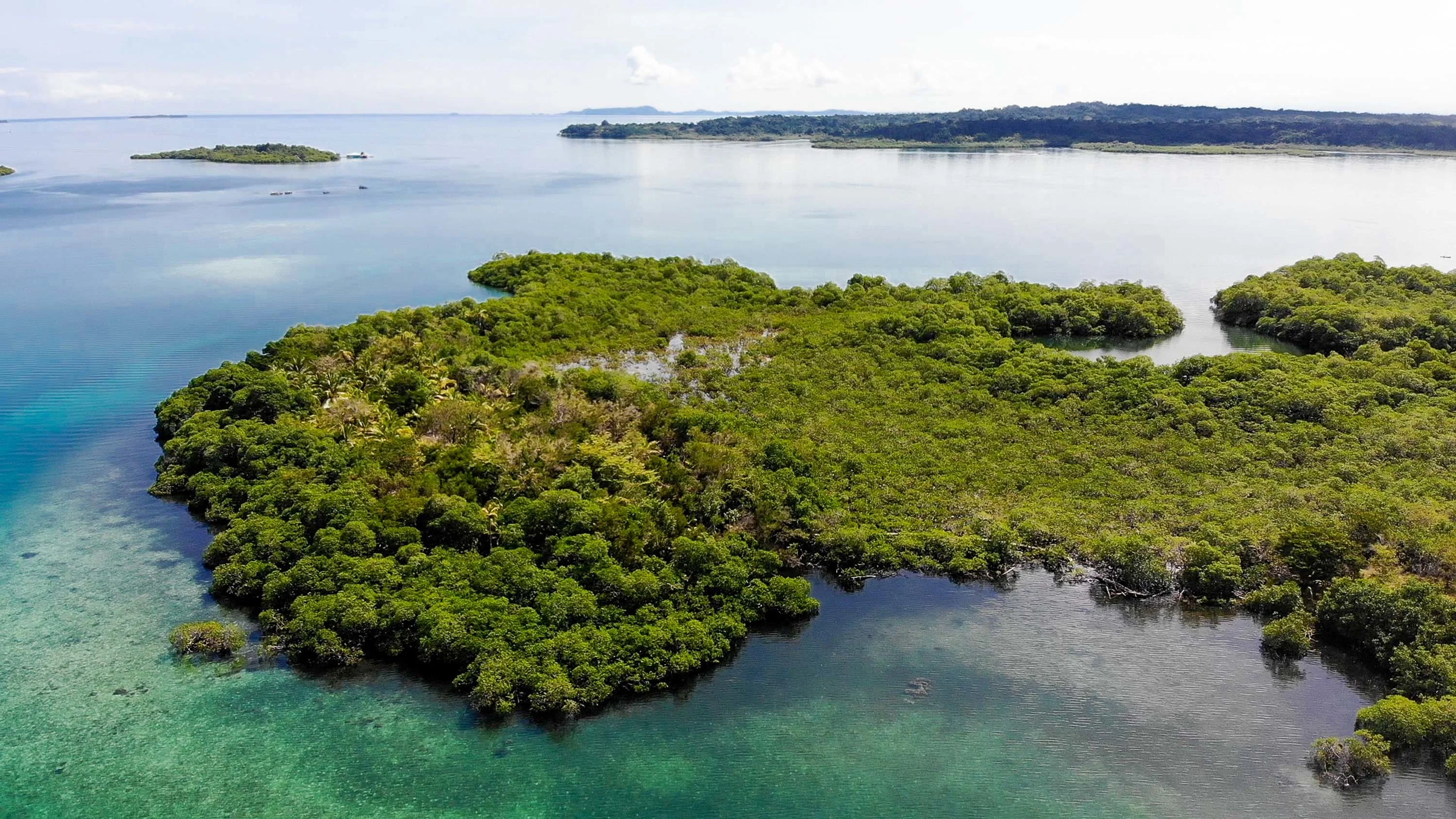 Build the Ultimate Island Oasis—, Dolphin Island—Bocas Del Toro/Near Costa Rica, Northwest Caribbean Sea , Panama - 2_-_DJI_0129.00_01_08_00.Still001_djcrsh