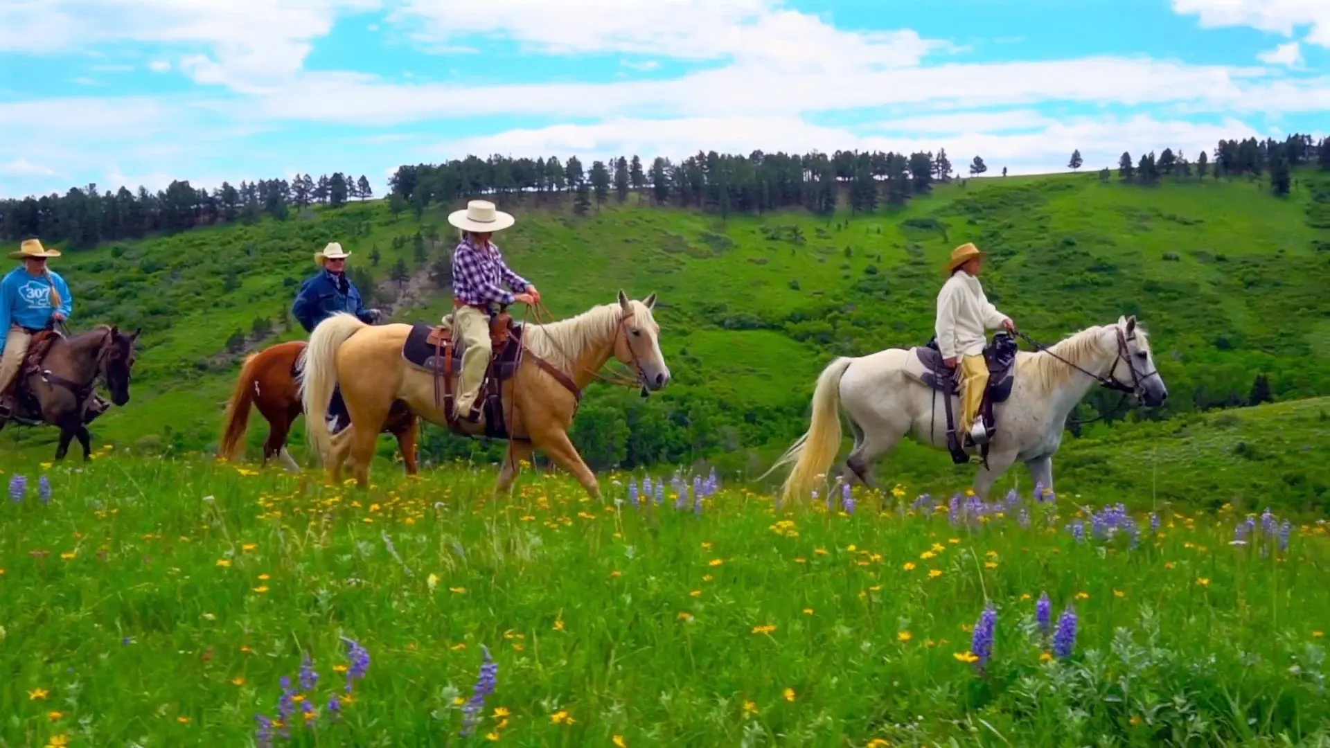 Imagine a 3,900+ acre haven of natural beauty, surrounded by some of North America’s most stunning landscapes. Enjoy a menagerie of unparalleled wildlife, agricultural production, miles of National Forest boundary, deeded acreage, creeks and streams, past