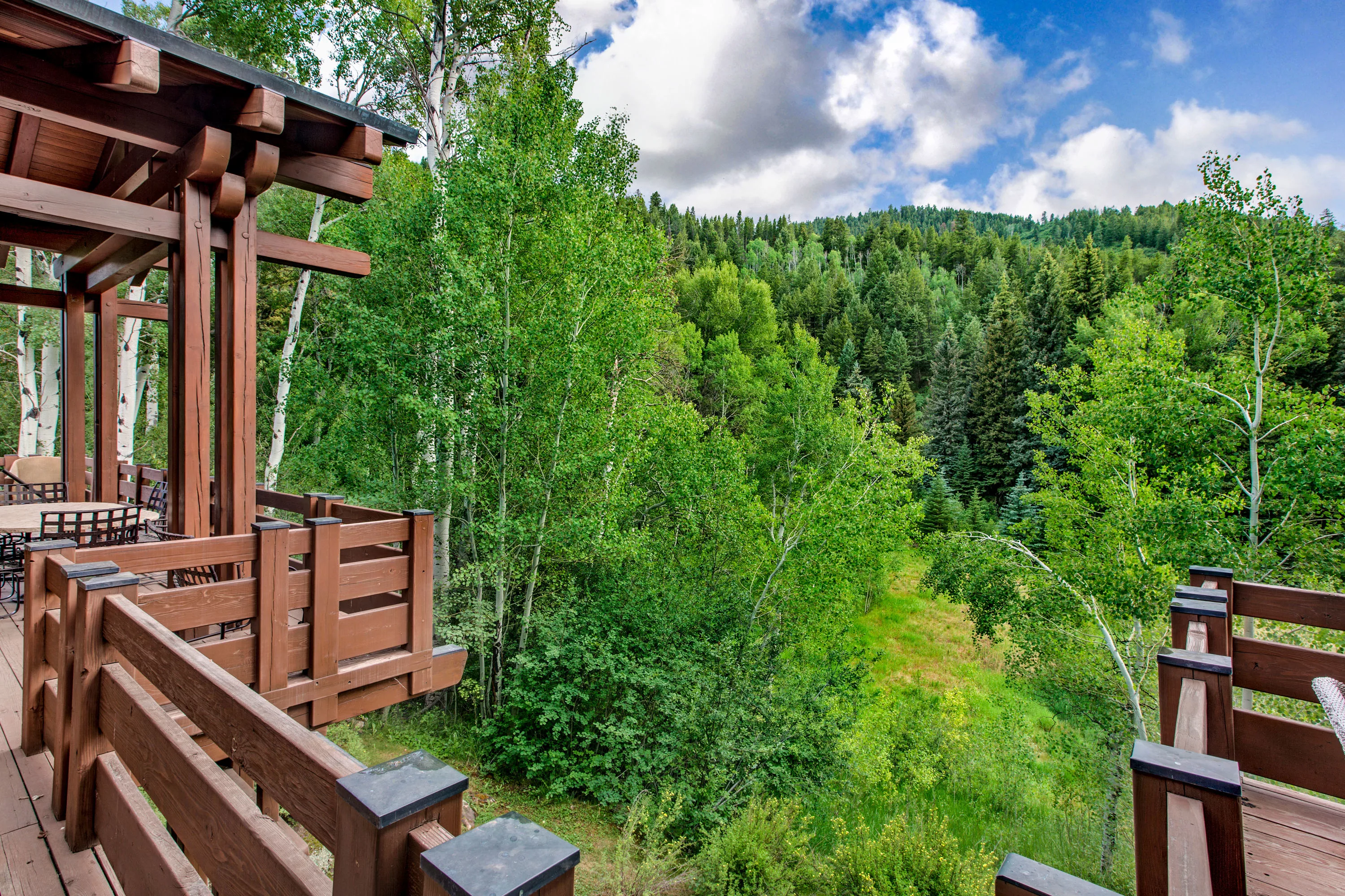 3448 Woody Creek Road, Aspen, Colorado 81656 - aspen_22_ytzgqi