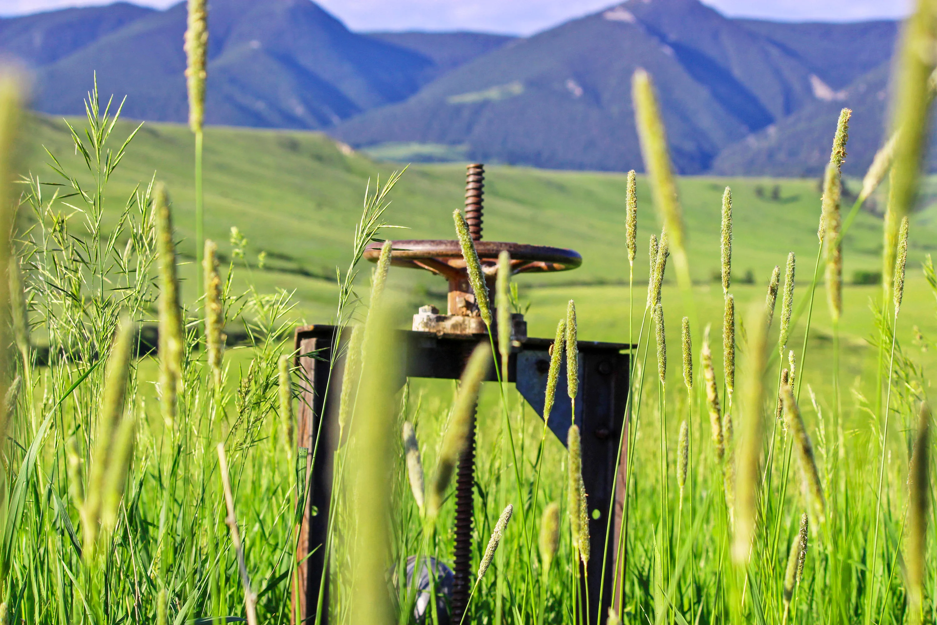 43 Rapid Creek Road, Sheridan, Wyoming 82801 - holy-cow-ranch-43-rapid-creek-road-sheridan-wyoming27_i76i1t