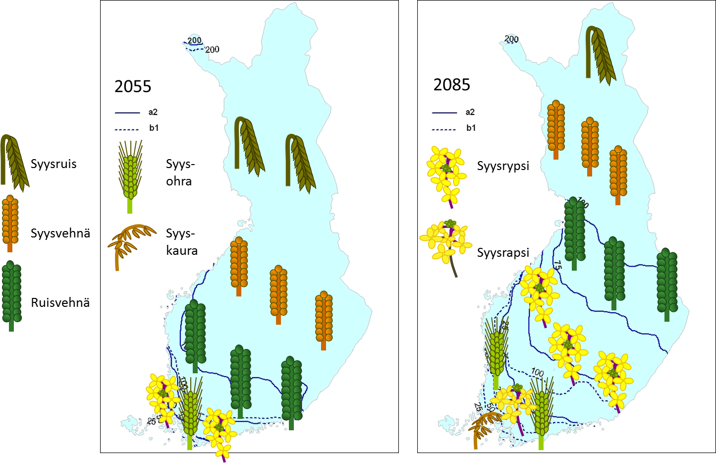 Maanviljelyn satomahdollisuudet kasvanevat Suomessa ilmaston muuttuessa |  Ilmasto-opas