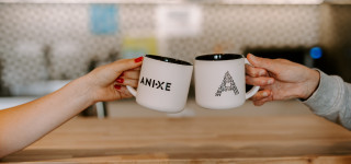 Careers at ANIXE.