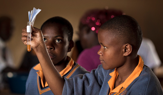 Schoolchildren participating and learning within a classroom 