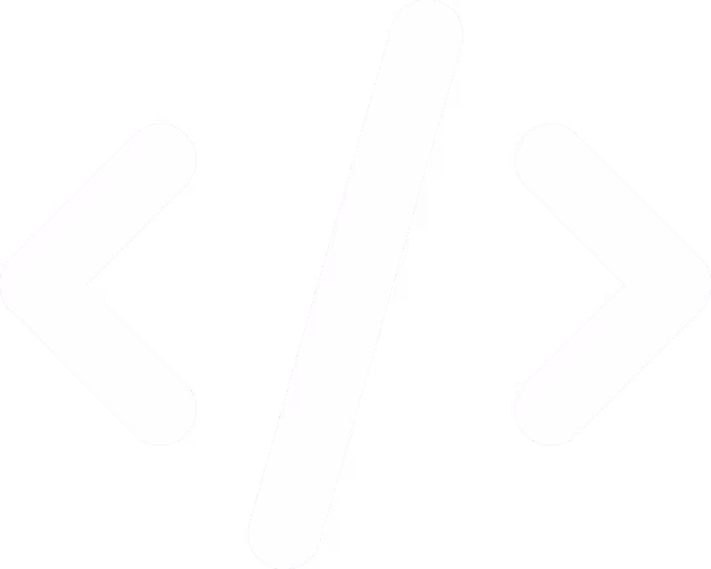code icon