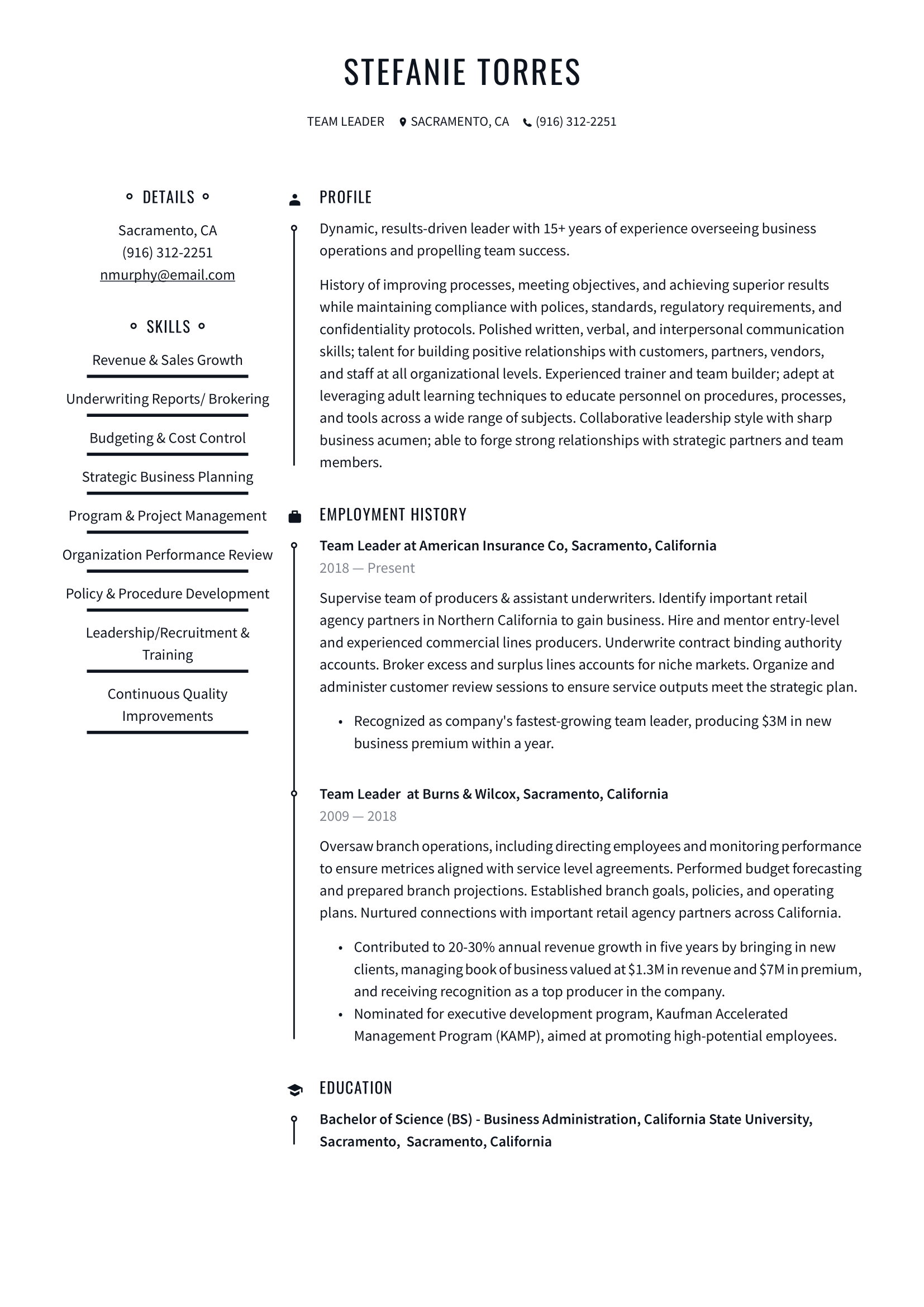 Team Leader Resume Example & Writing Guide