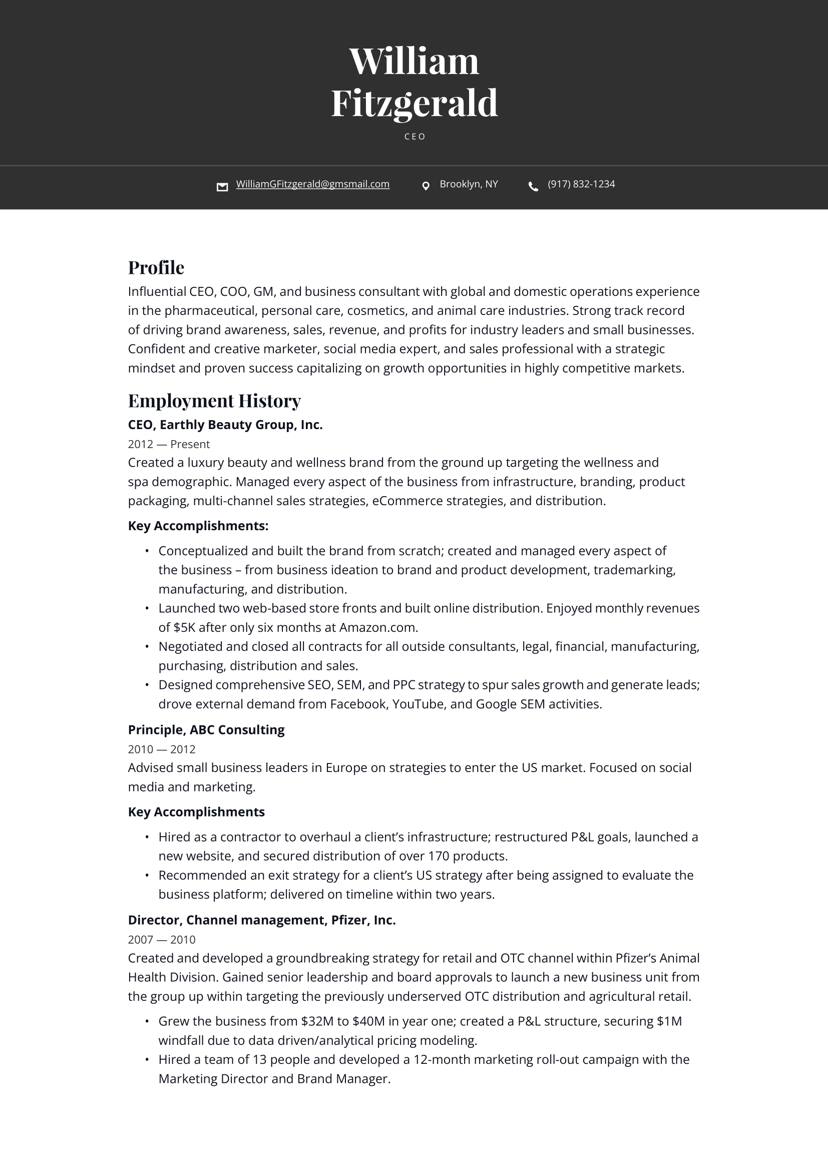 CEO Resume Example & Writing Guide