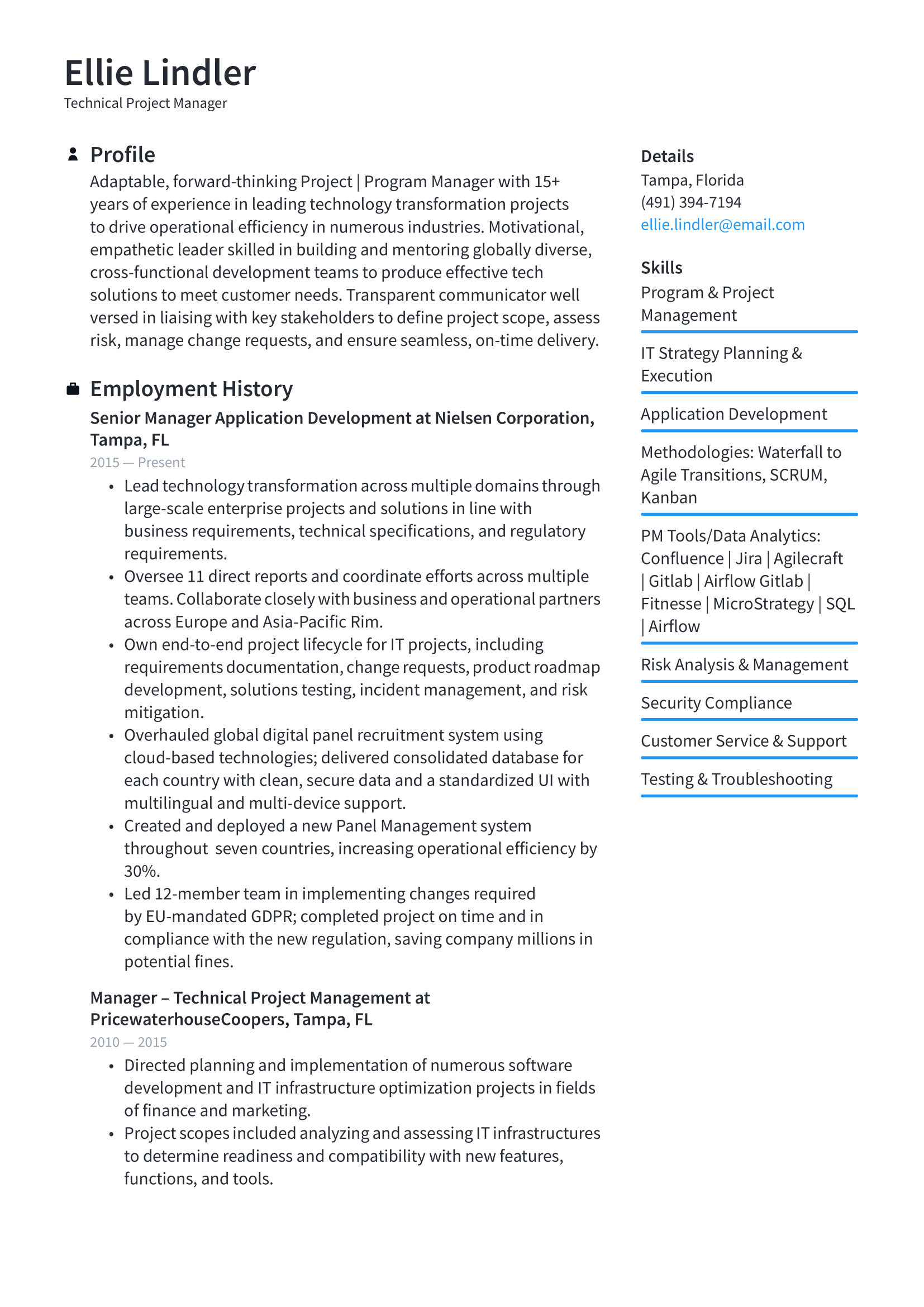 Technical Project Manager Resume Example & Writing Guide