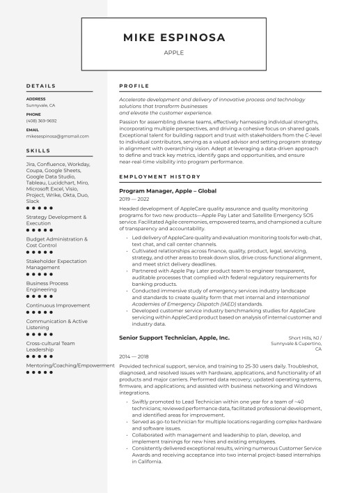 Apple Inc. Resume Example & Writing Guide