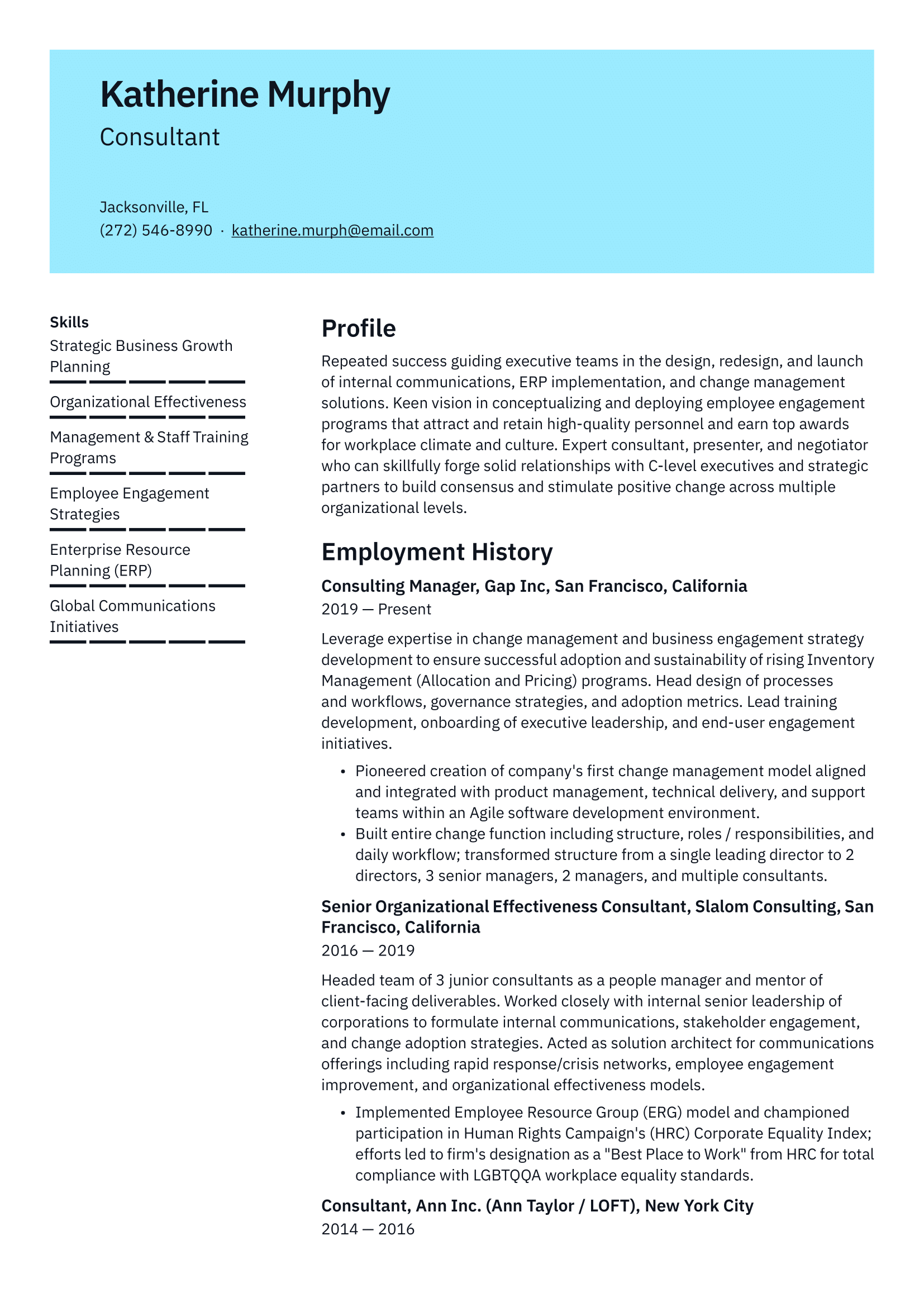Consultant Resume Example & Writing Guide
