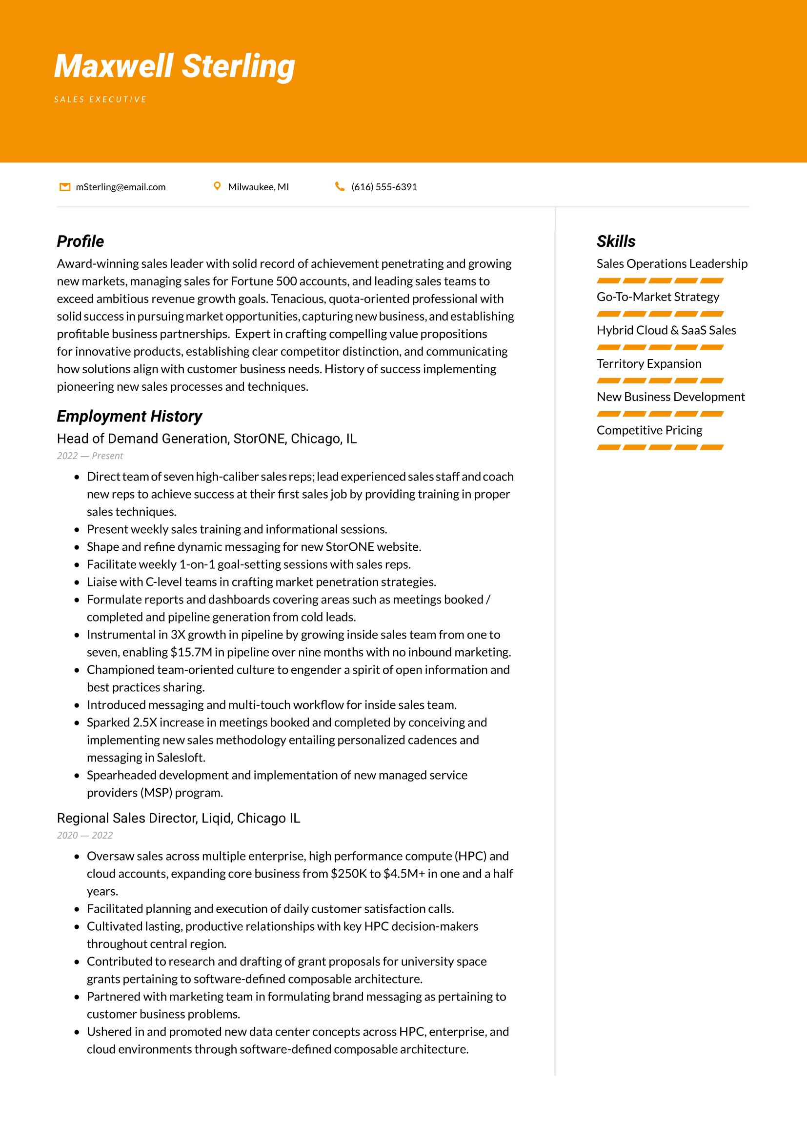 Sales Executive Resume Example & Writing Guide