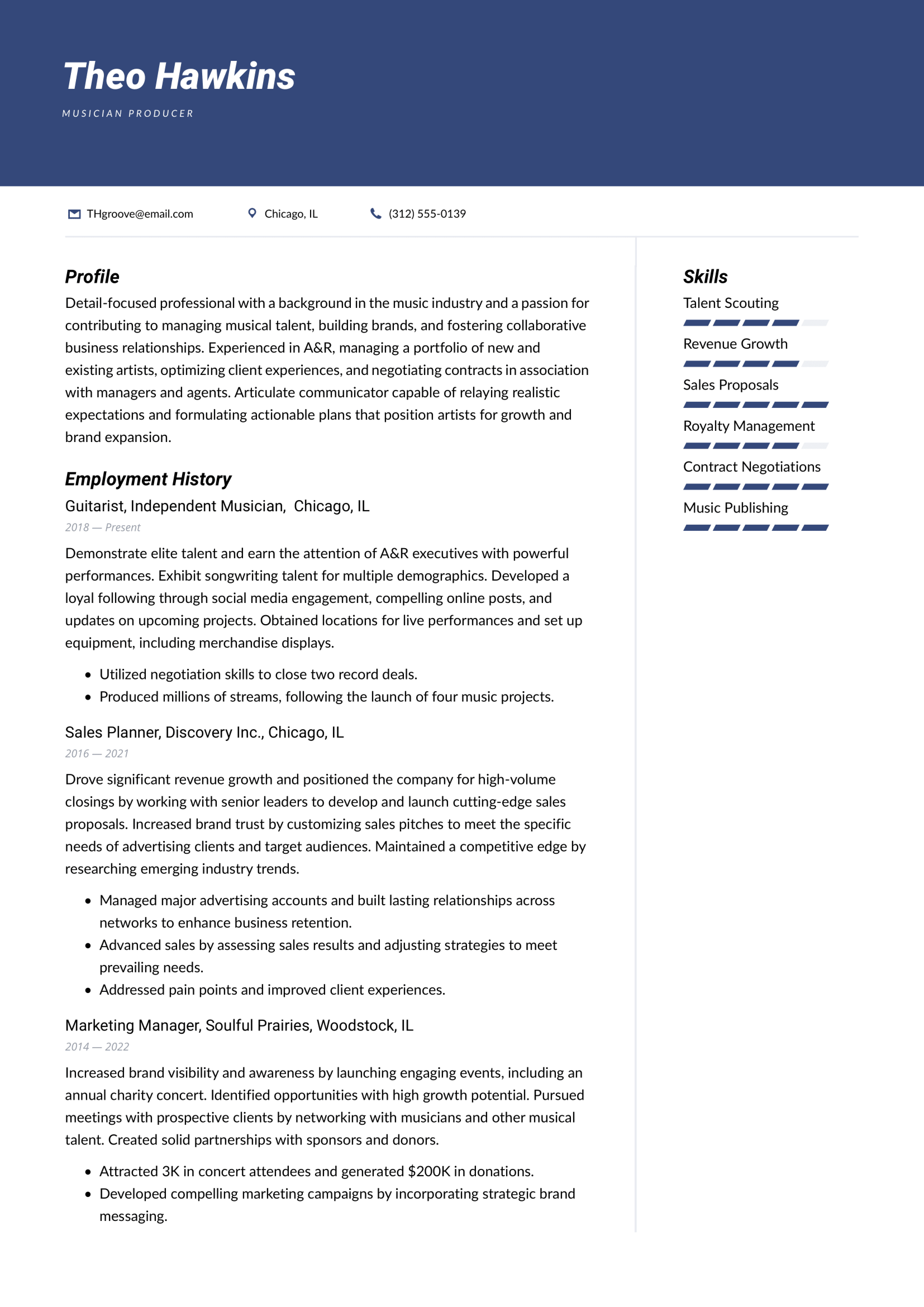 Musician Producer Resume Example 