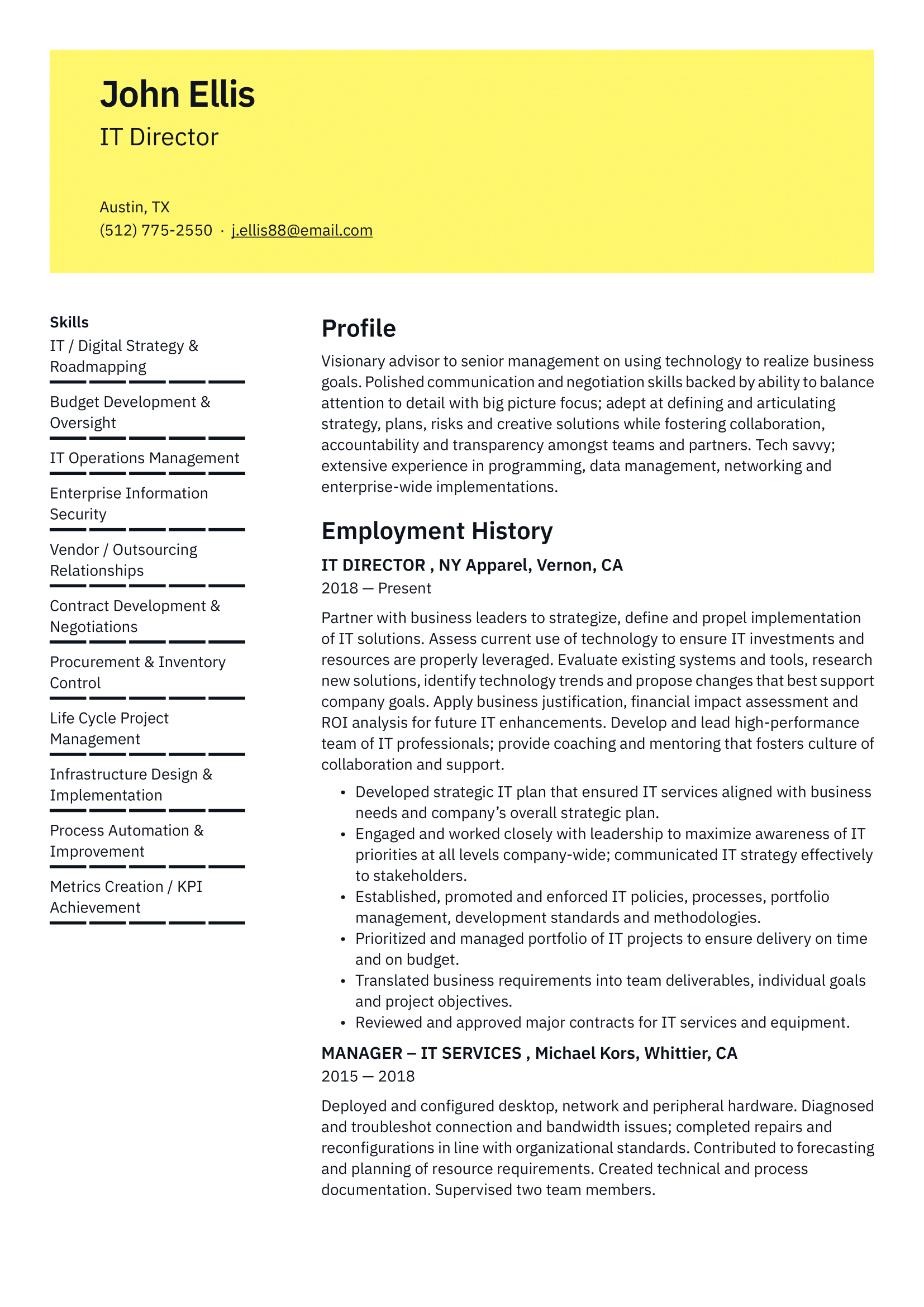 IT Director Resume Example & Writing Guide