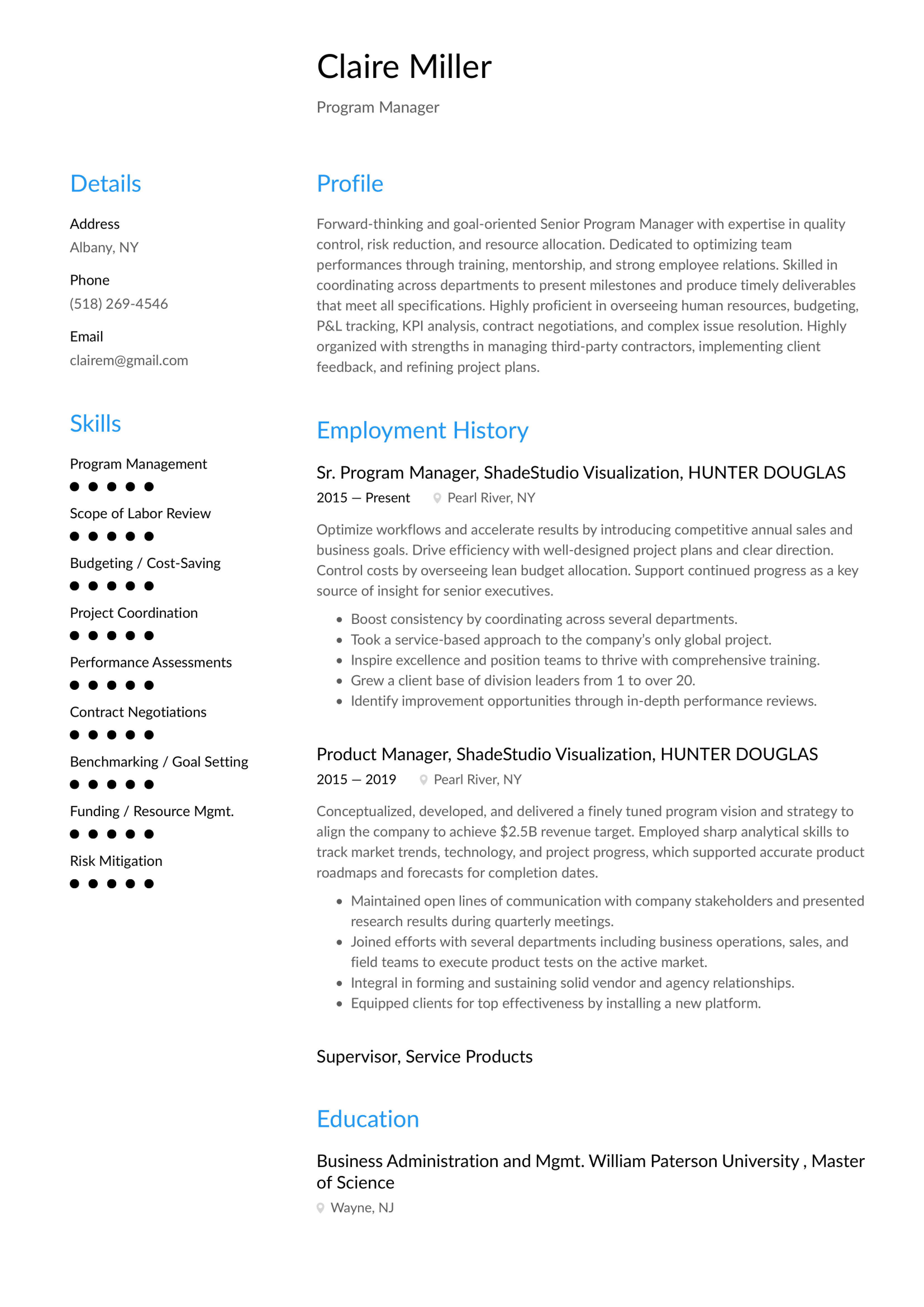 Program Manager Resume example