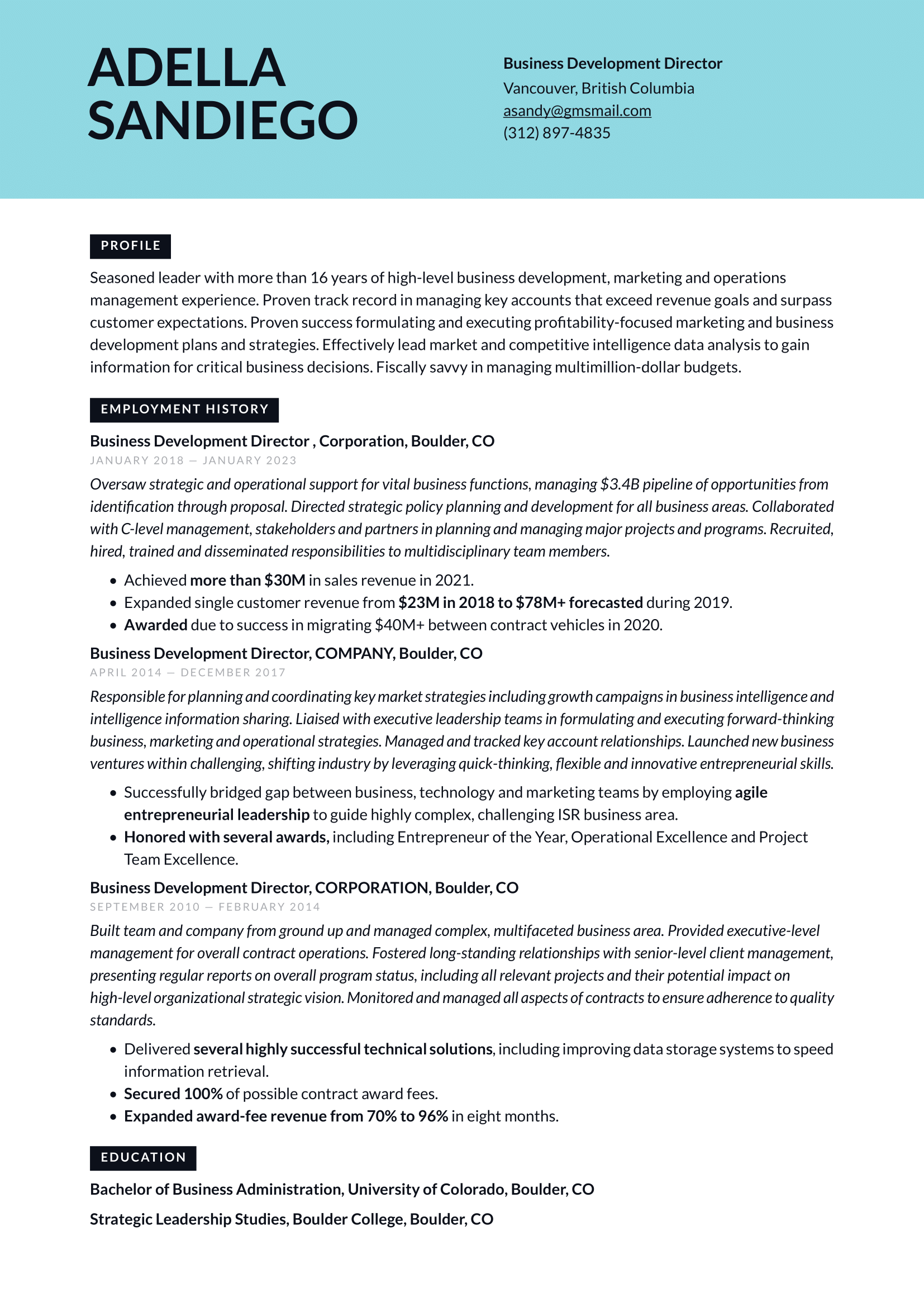 Business_Development_Director-Resume-Example.png